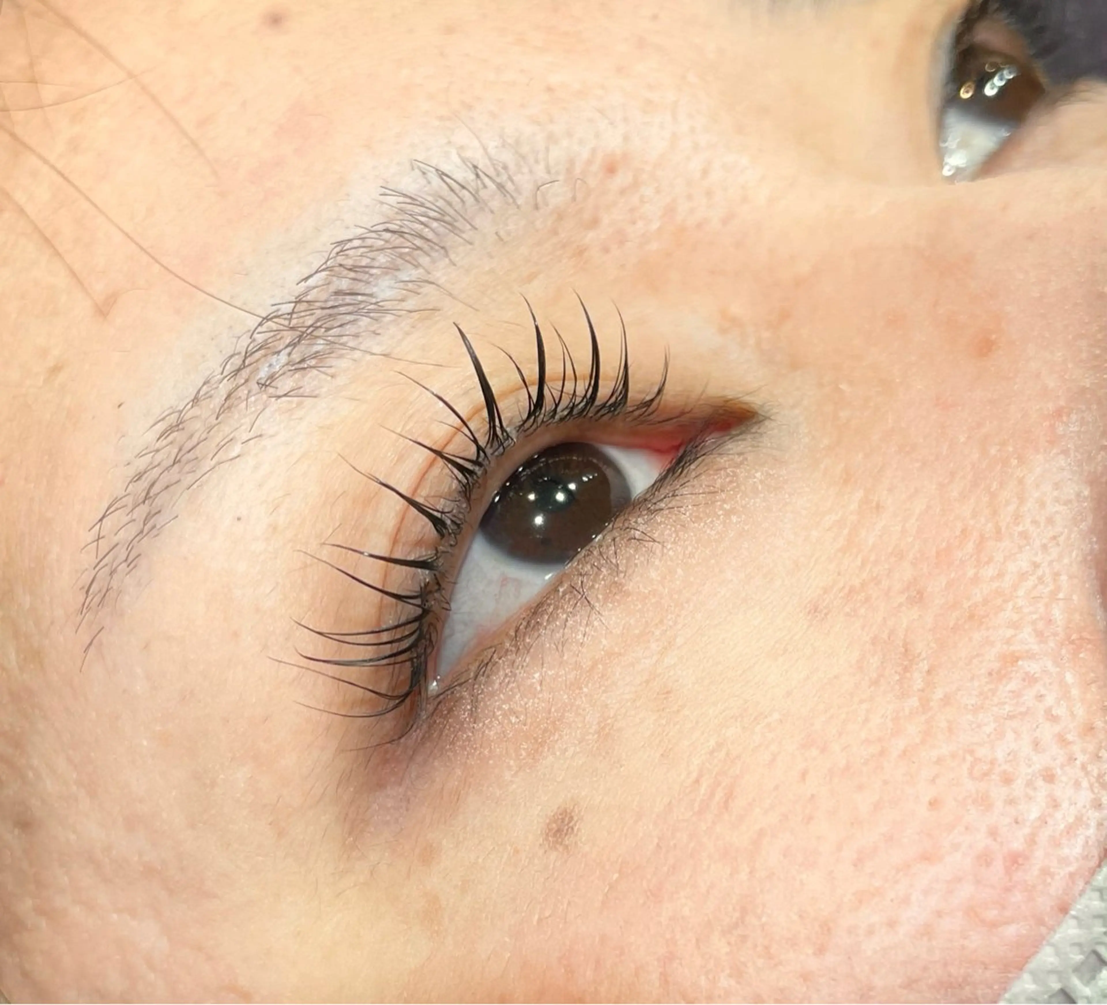 マツエク・マツパ マツパ まつパ/マツエク🤎 艶カラー/ゆり♡⃛のヘアスタイル