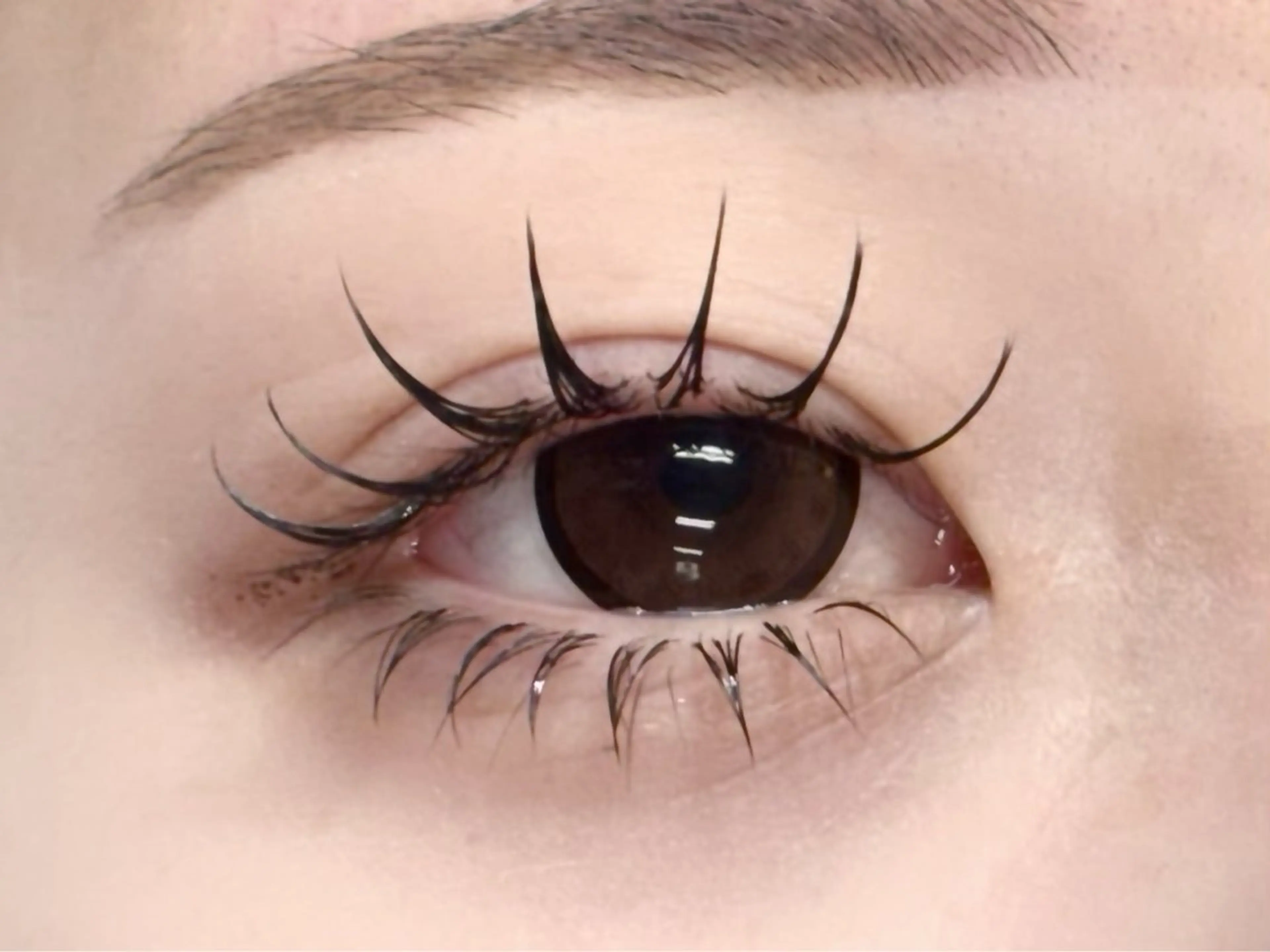 マツエク・マツパ フラットラッシュ まつげパーマ & アイブロウ専門店 MELT所属・MELT 水戸 赤上のマツエク・マツパデザイン