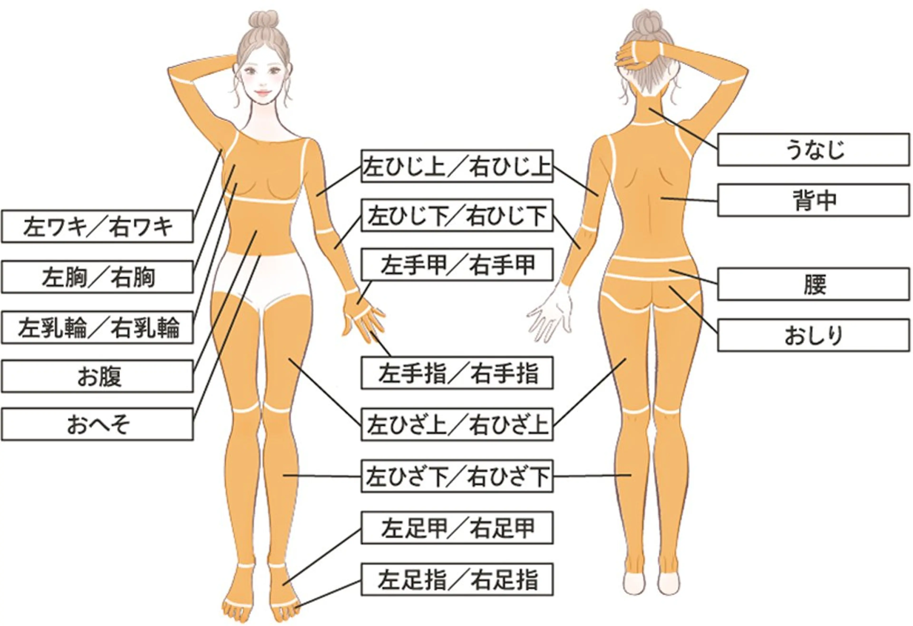 【初回お試し】レディース全身脱毛・お顔/VIOなしの写真