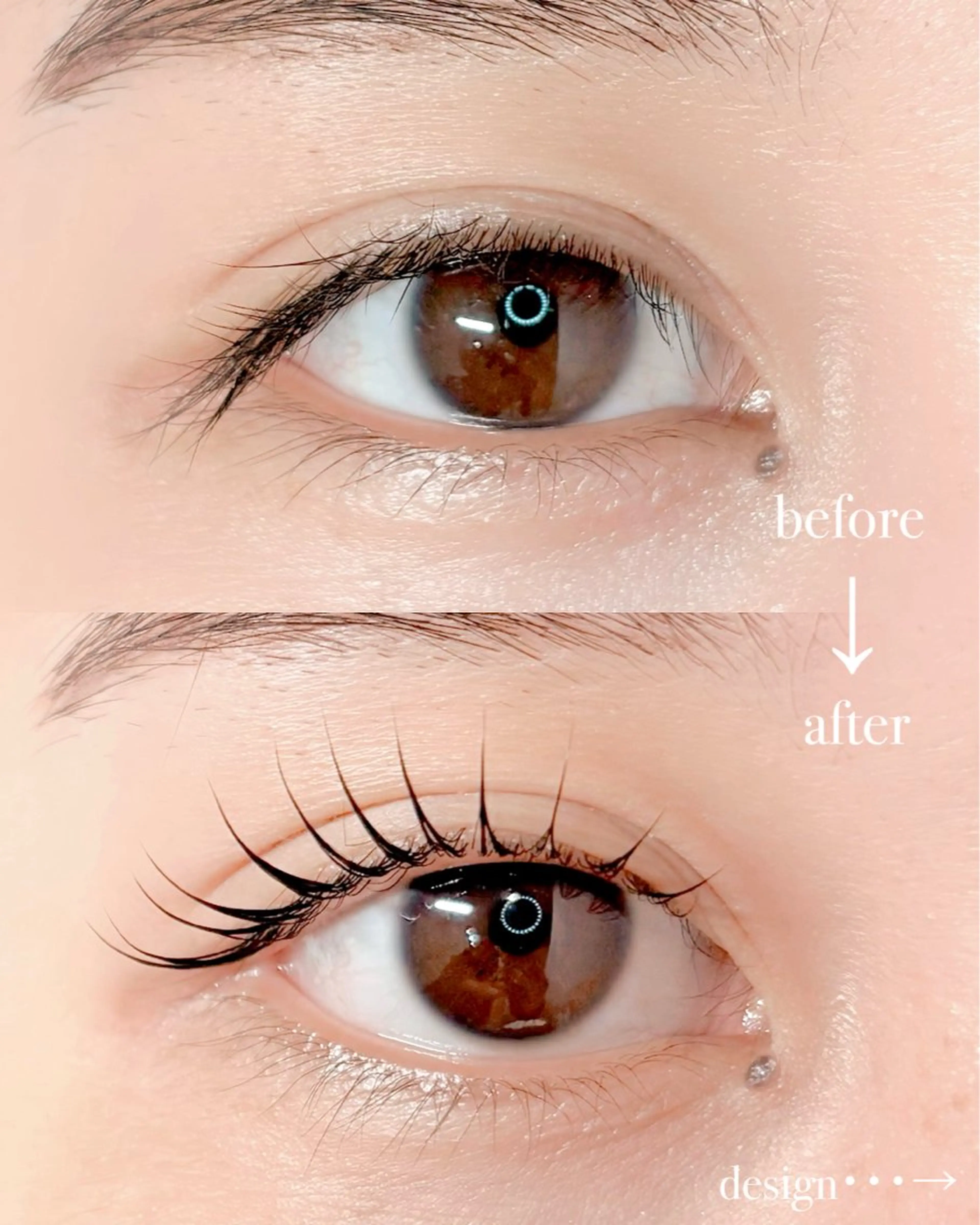 【4/9.10 来店限定】まつげパーマの写真