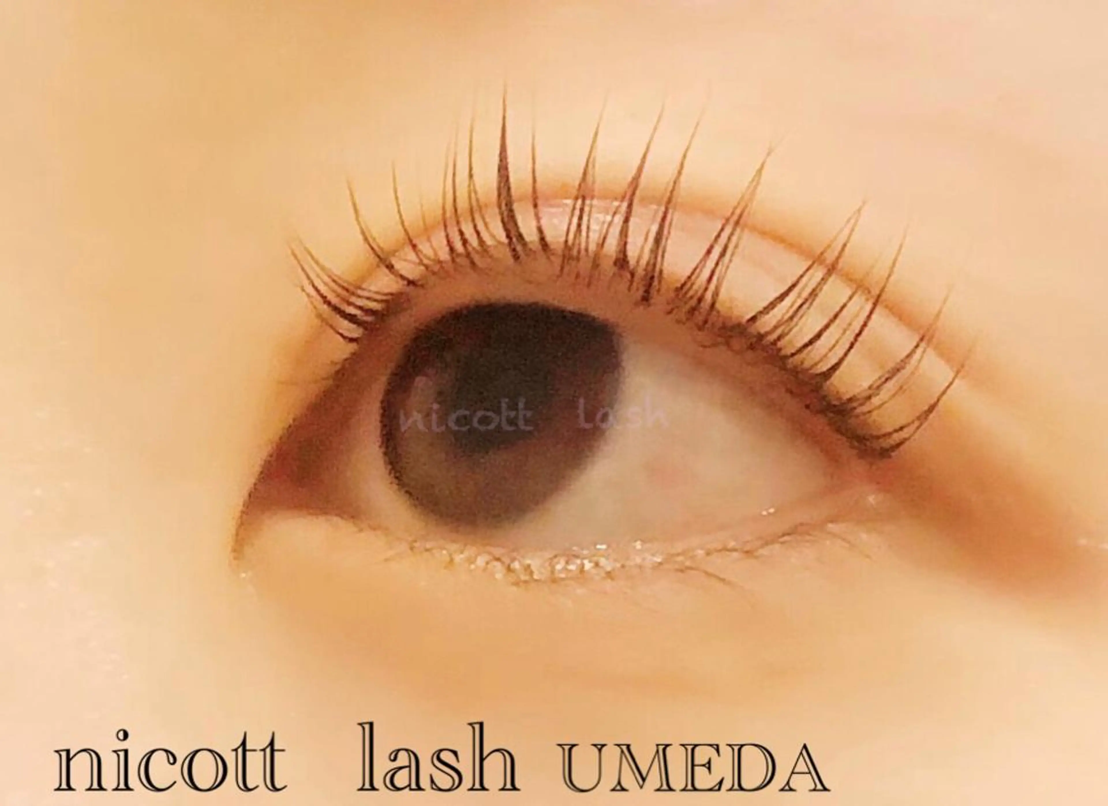 マツエク・マツパ サクラブロウ 大阪駅前第4ビルのマツエク・マツパデザイン