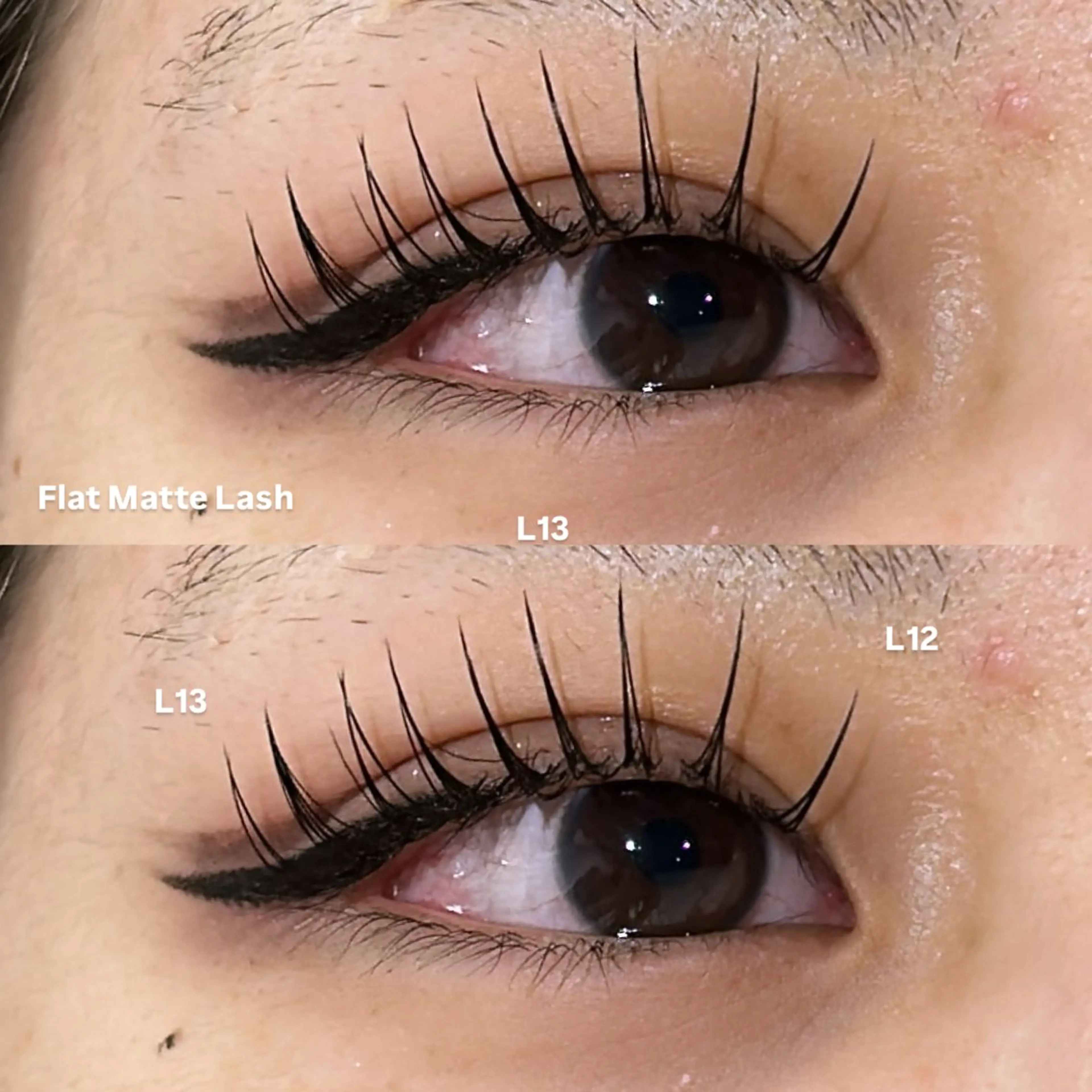 マツエク・マツパ マツパ 冬っぽカラー/ マツエク/ゆきなのマツエク・マツパデザイン