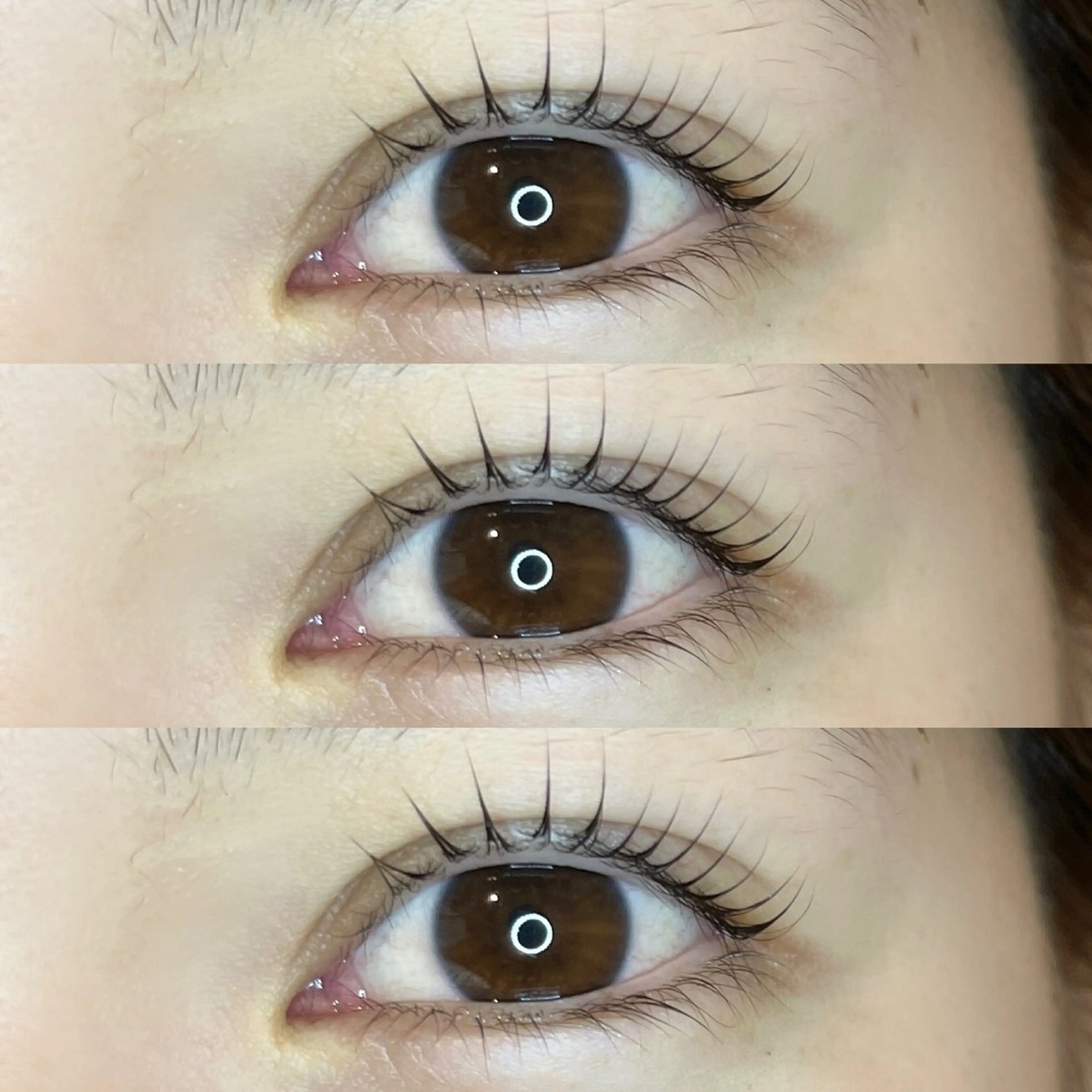 マツエク・マツパ 韓国風マツエク まつげパーマ warme𓂂𓂃 fukaのヘアスタイル