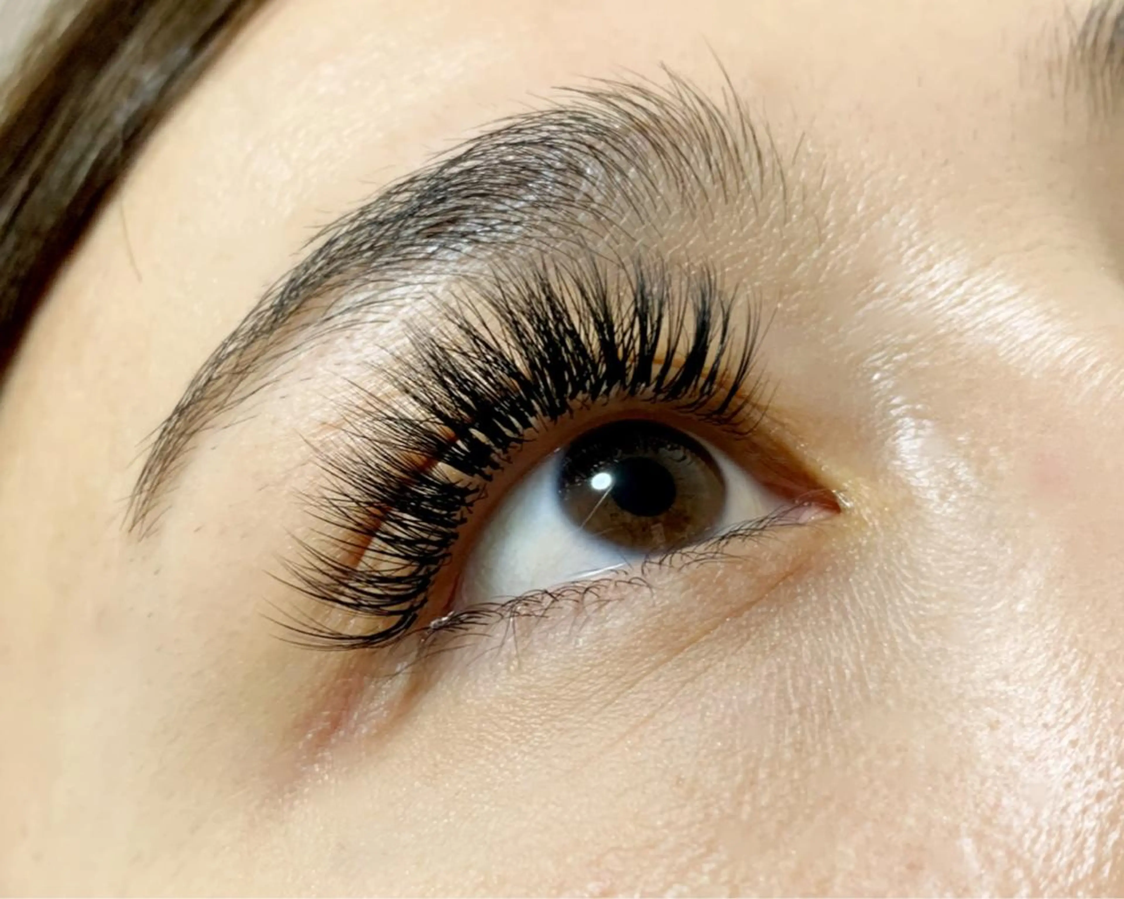 マツエク・マツパ 付け放題 パリジェンヌラッシュリフト ボリュームラッシュ マツエク eyelash La Gabbyの眉毛・アイブロウイメージ