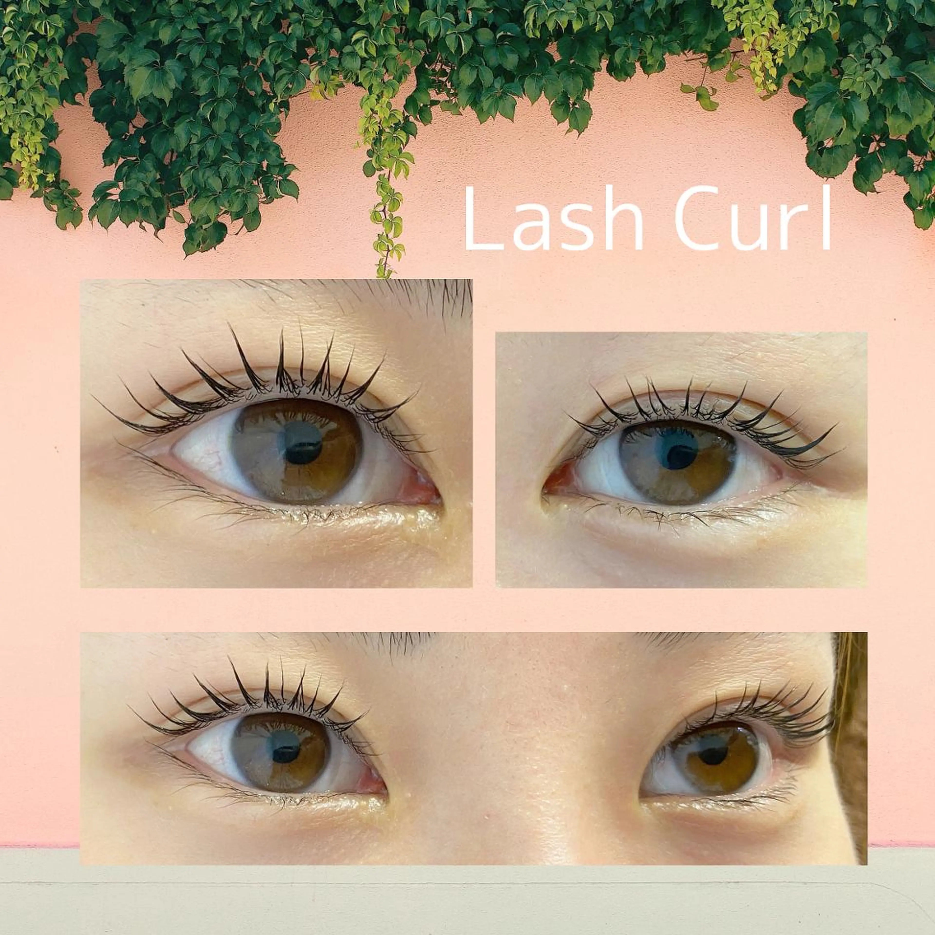 マツエク・マツパ ulu beautysalon所属・アイブロウモデル募集 Yukiの眉毛・アイブロウイメージ