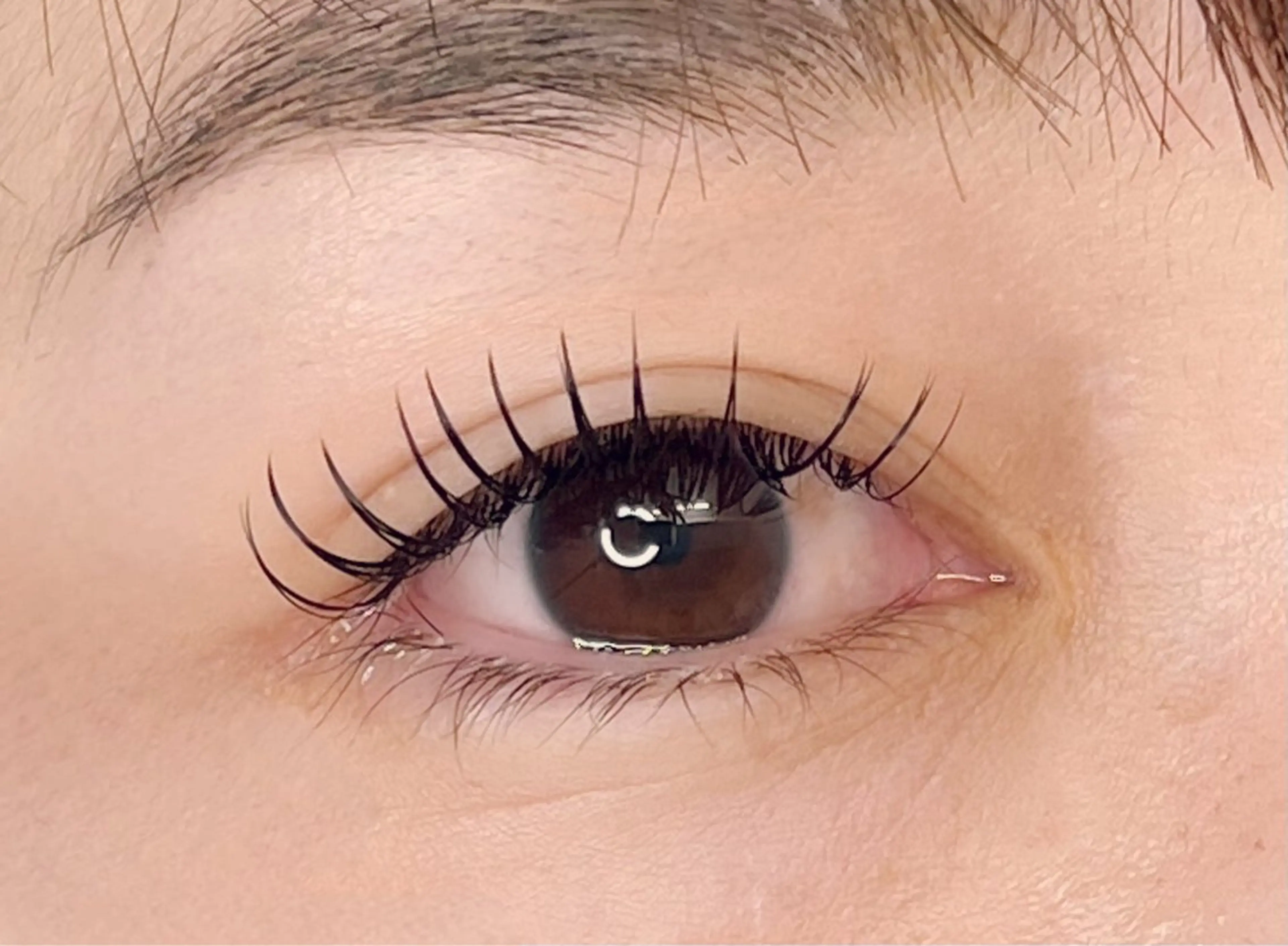 マツエク・マツパ Arva 【Leia】のマツエク・マツパデザイン