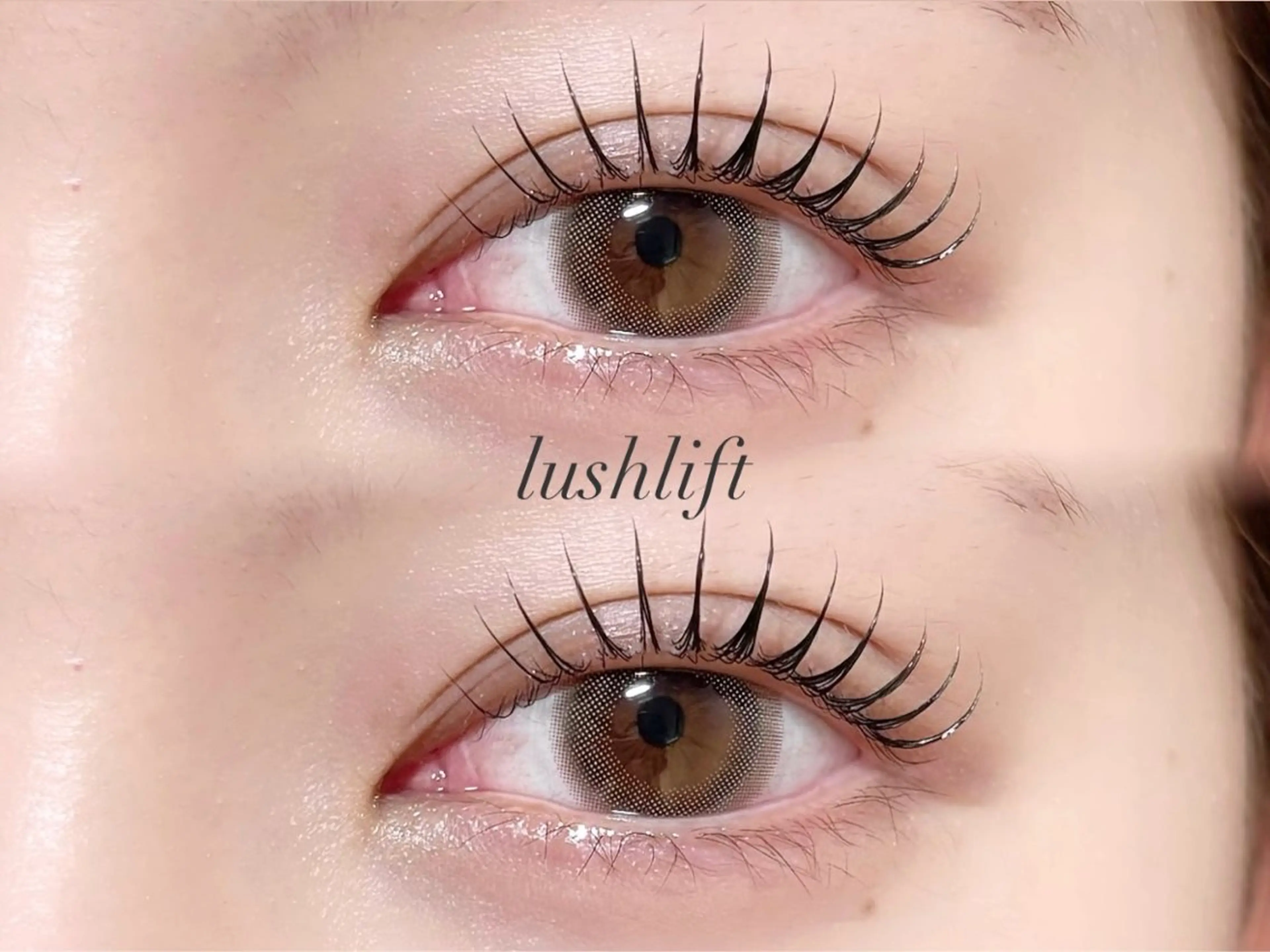 【12/26 限定】パリジェンヌラッシュリフトorラッシュリフト🌷 【再来様￥4500】の写真