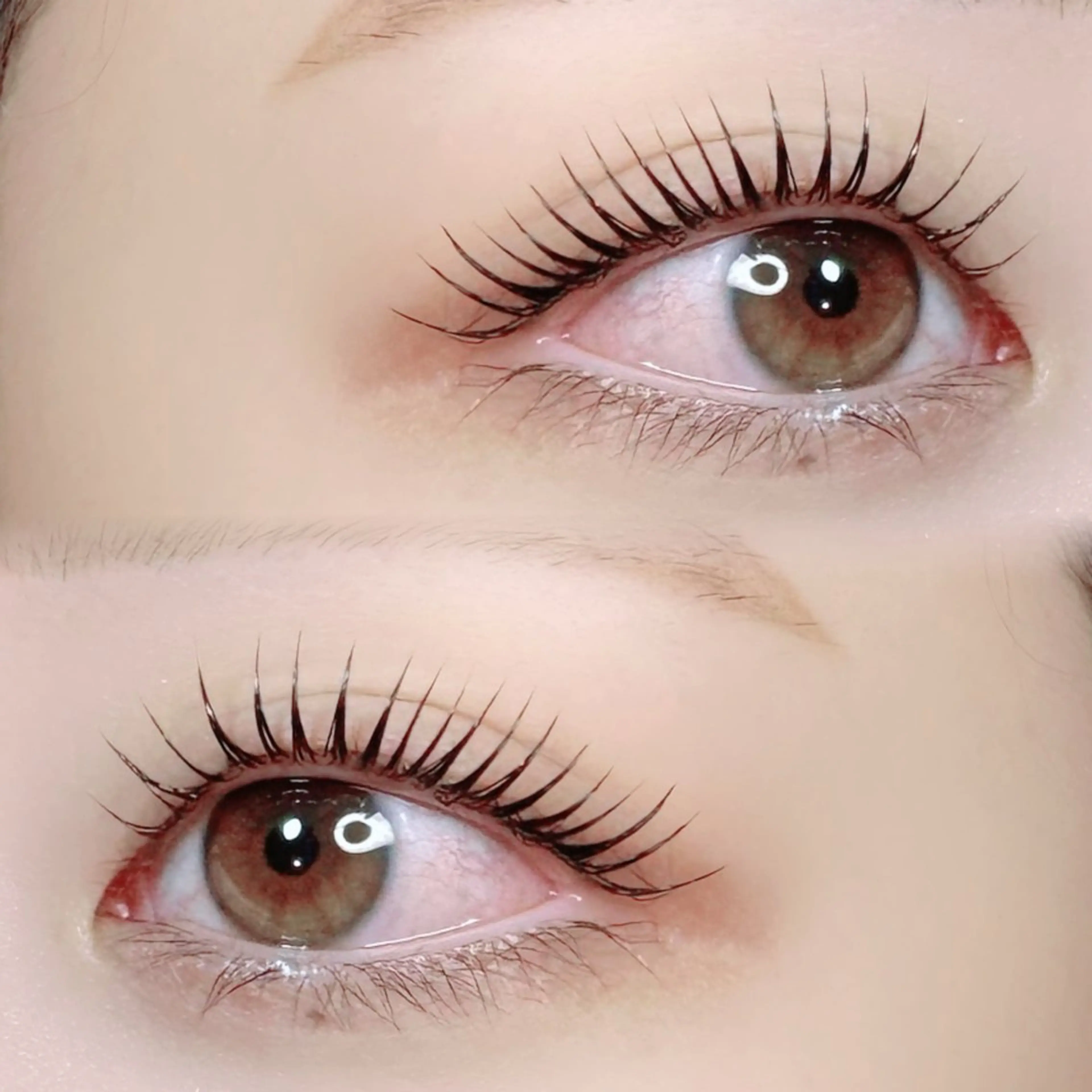 マツエク・マツパ mignon /まつげパーマ/眉毛のエステ・リラクイメージ