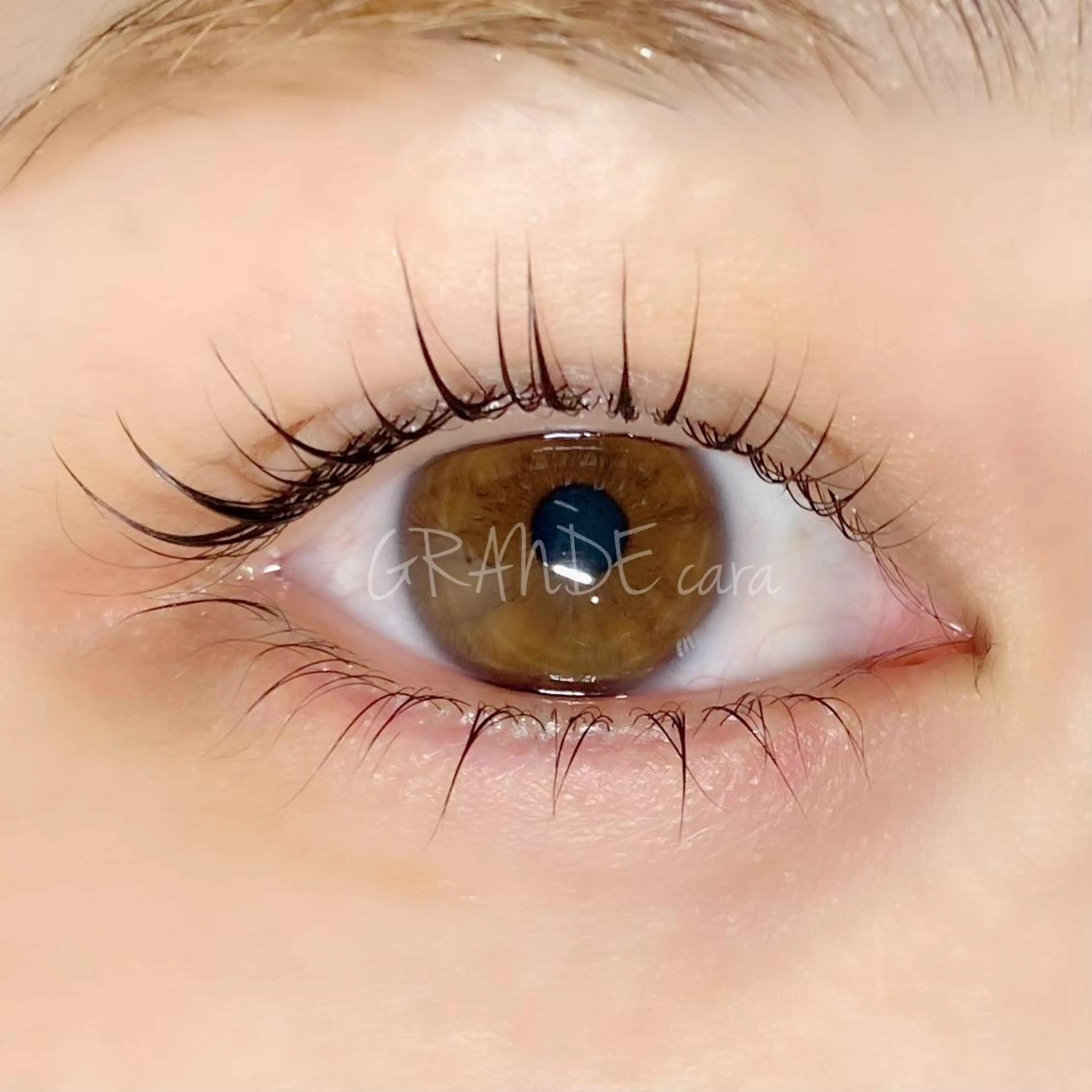 ♡𝘮𝘪𝘯𝘪𝘮𝘰限定♡〖パリジェンヌラッシュリフト上下セット〗の写真