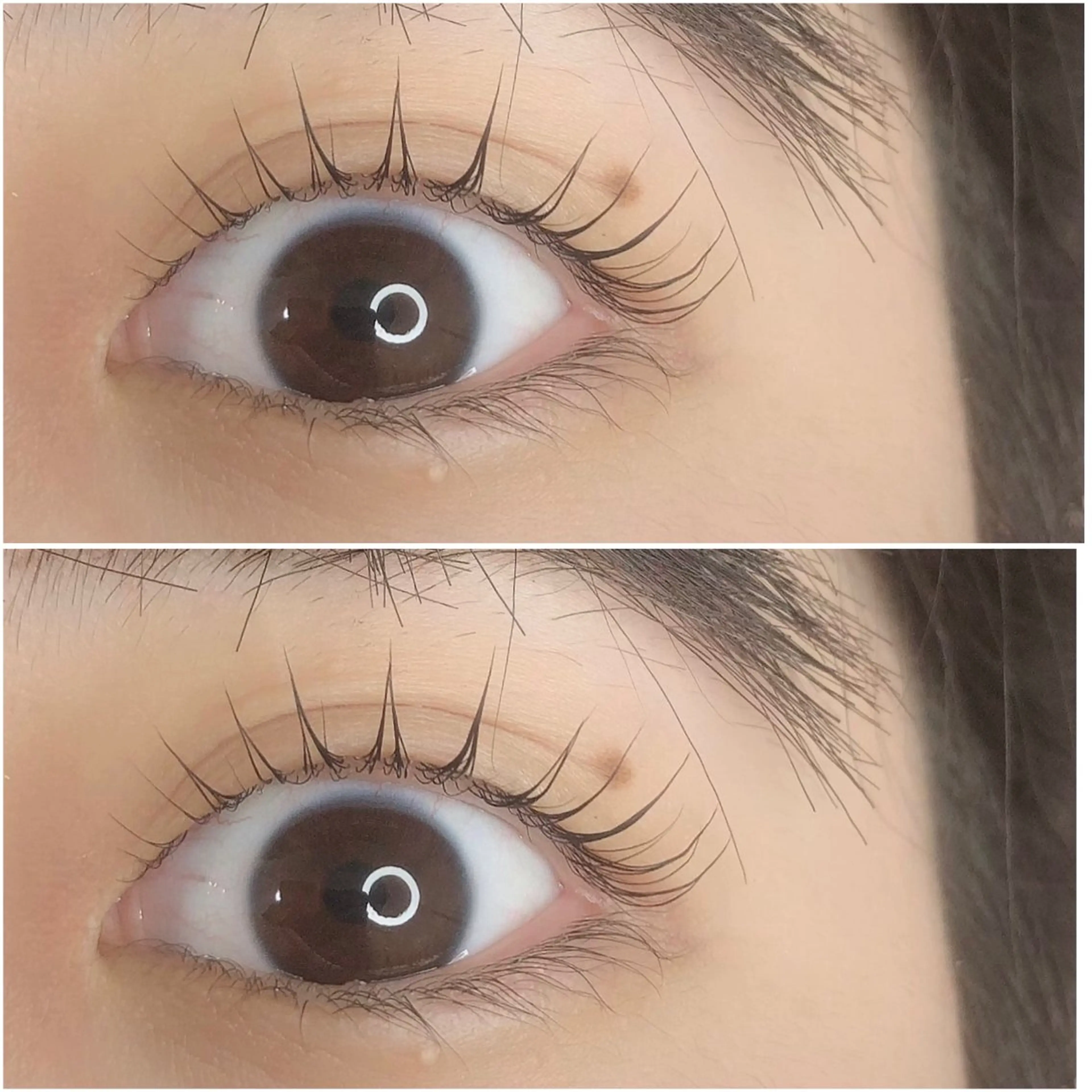 マツエク・マツパ マツパ cocoネイル&まつげサロン所属・片平 恭子のマツエク・マツパデザイン