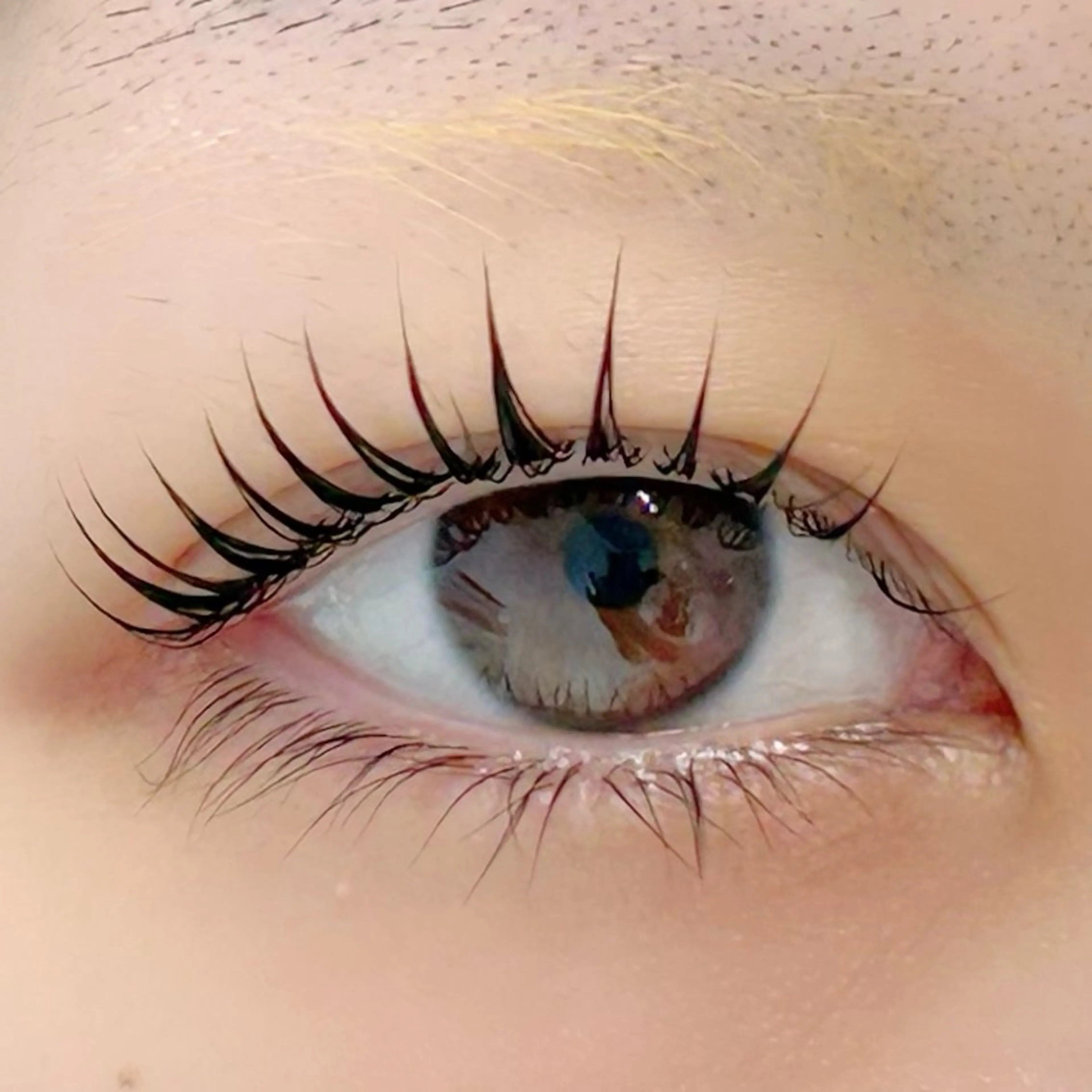 マツエク・マツパ パリジェンヌラッシュリフト 一重×まつ毛パーマ BellFlower Aki(眉・まつげ)のマツエク・マツパデザイン