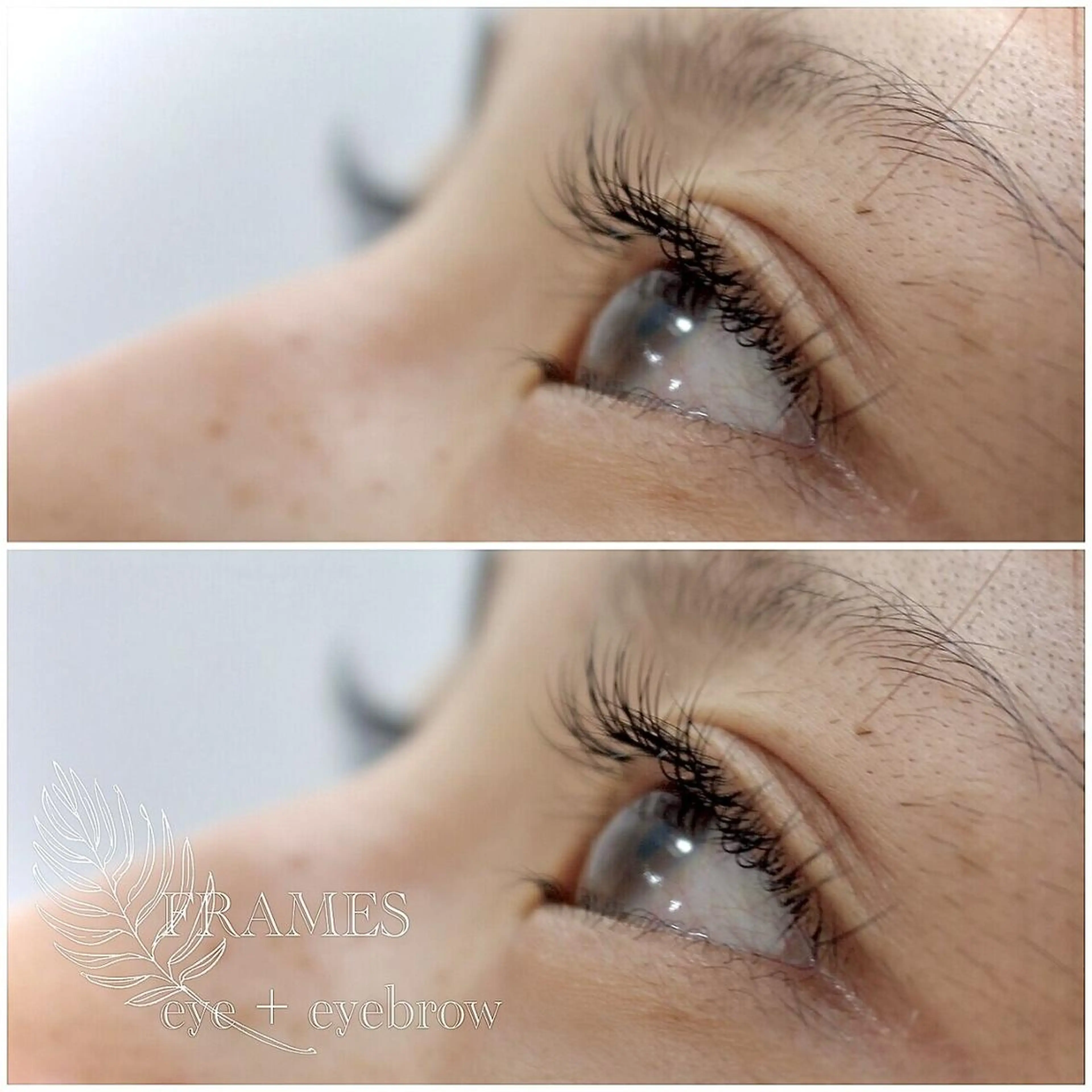 『ご新規様』パーフェクトラッシュPL80の写真