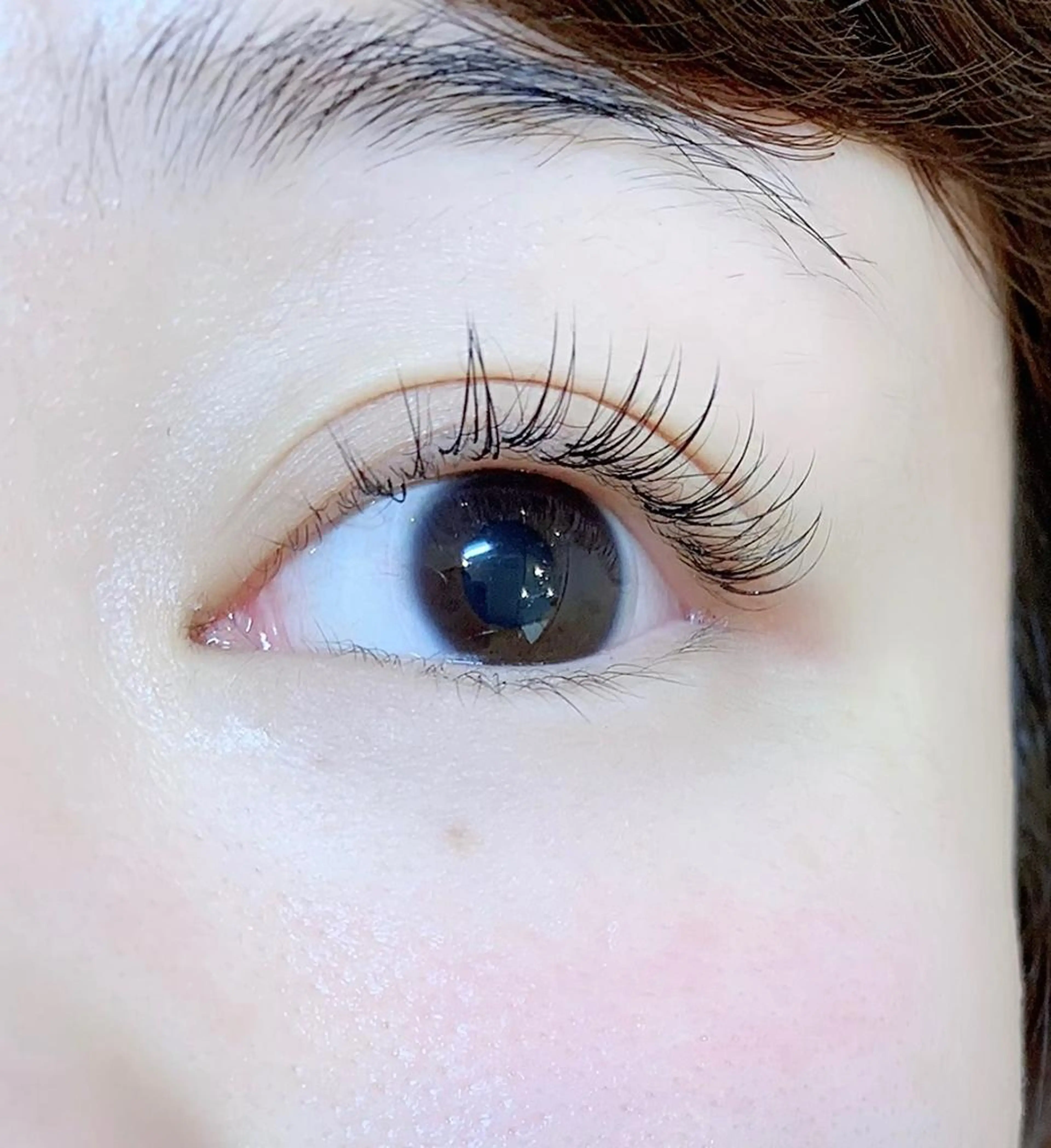 マツエク・マツパ マツパ Rocco eye 新宿御苑【ロッコアイ】フラットラッシュ/ボリュームラッシュ/アップワード所属・佐々木 範子のマツエク・マツパデザイン