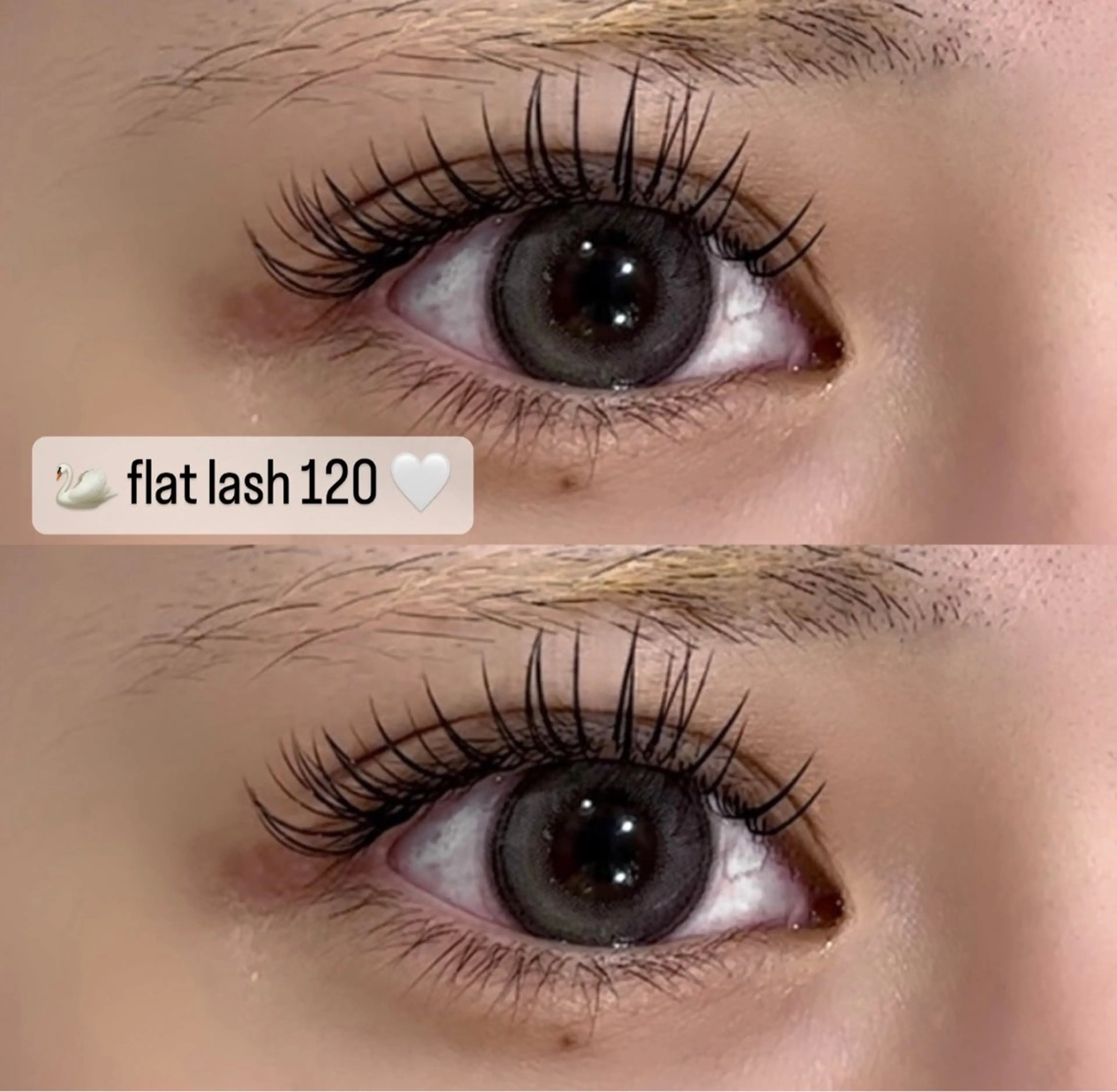 マツエク・マツパ Eyelash&Nail MyBoo所属・𝘕𝘪𝘴𝘩𝘪 𝘮𝘶𝘳𝘢♡⃛のマツエク・マツパデザイン