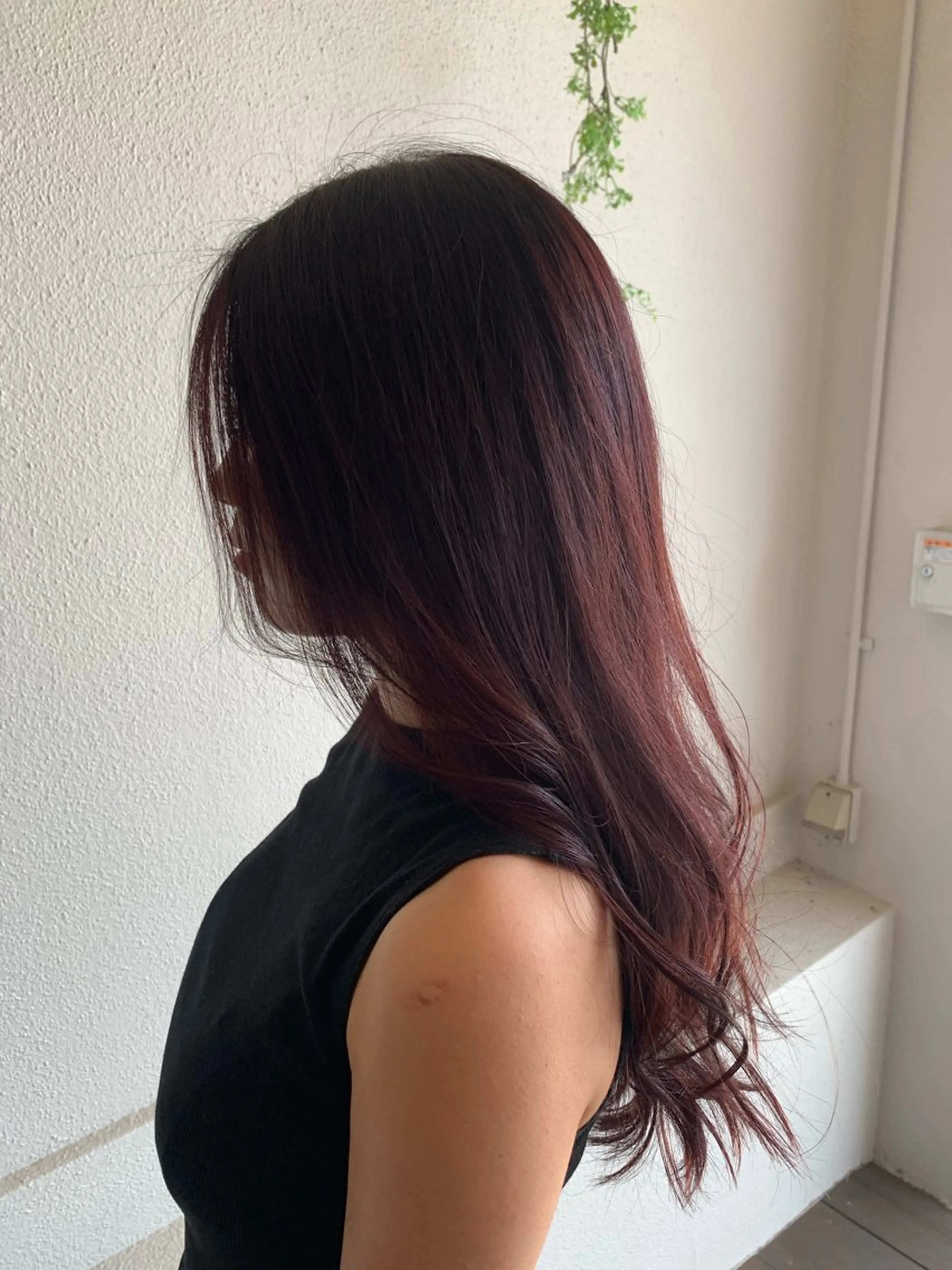 カラー 田中 陵のヘアスタイル