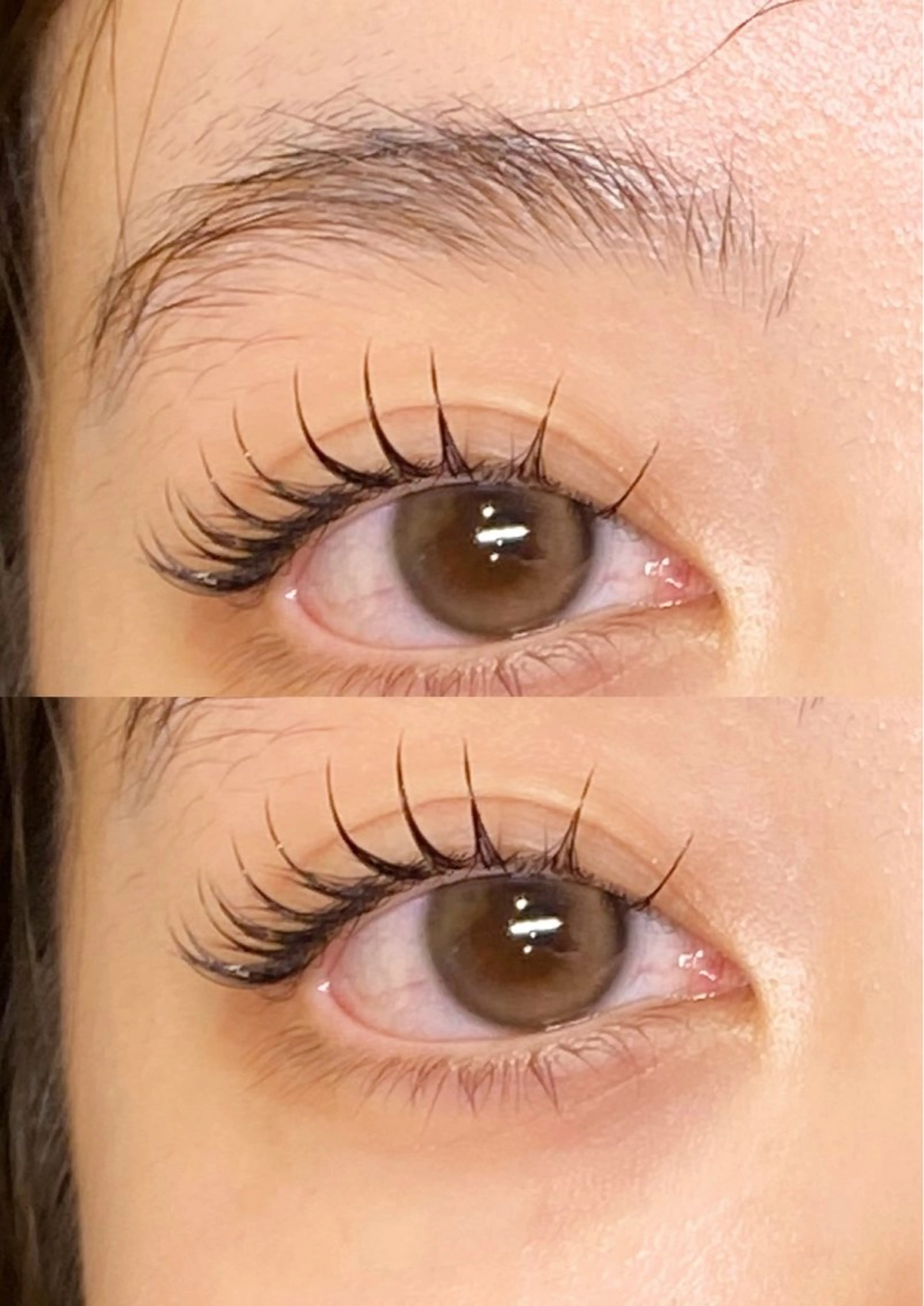 マツエク・マツパ Dカール フラットラッシュ マツエク 宮本 麻央🎀🪽のマツエク・マツパデザイン