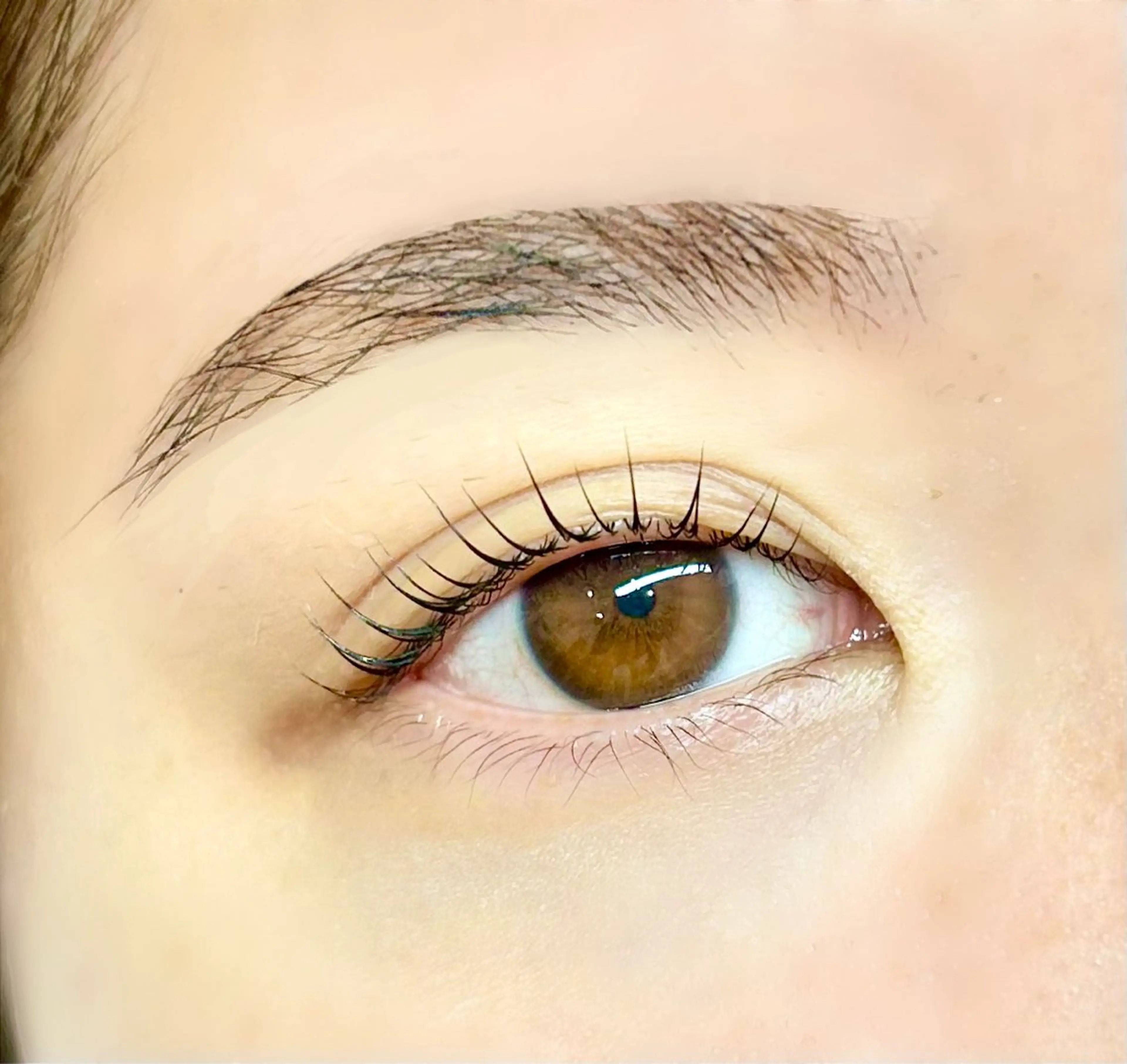 マツエク・マツパ アイブロウ/HBL 🦄MEMEの眉毛・アイブロウイメージ