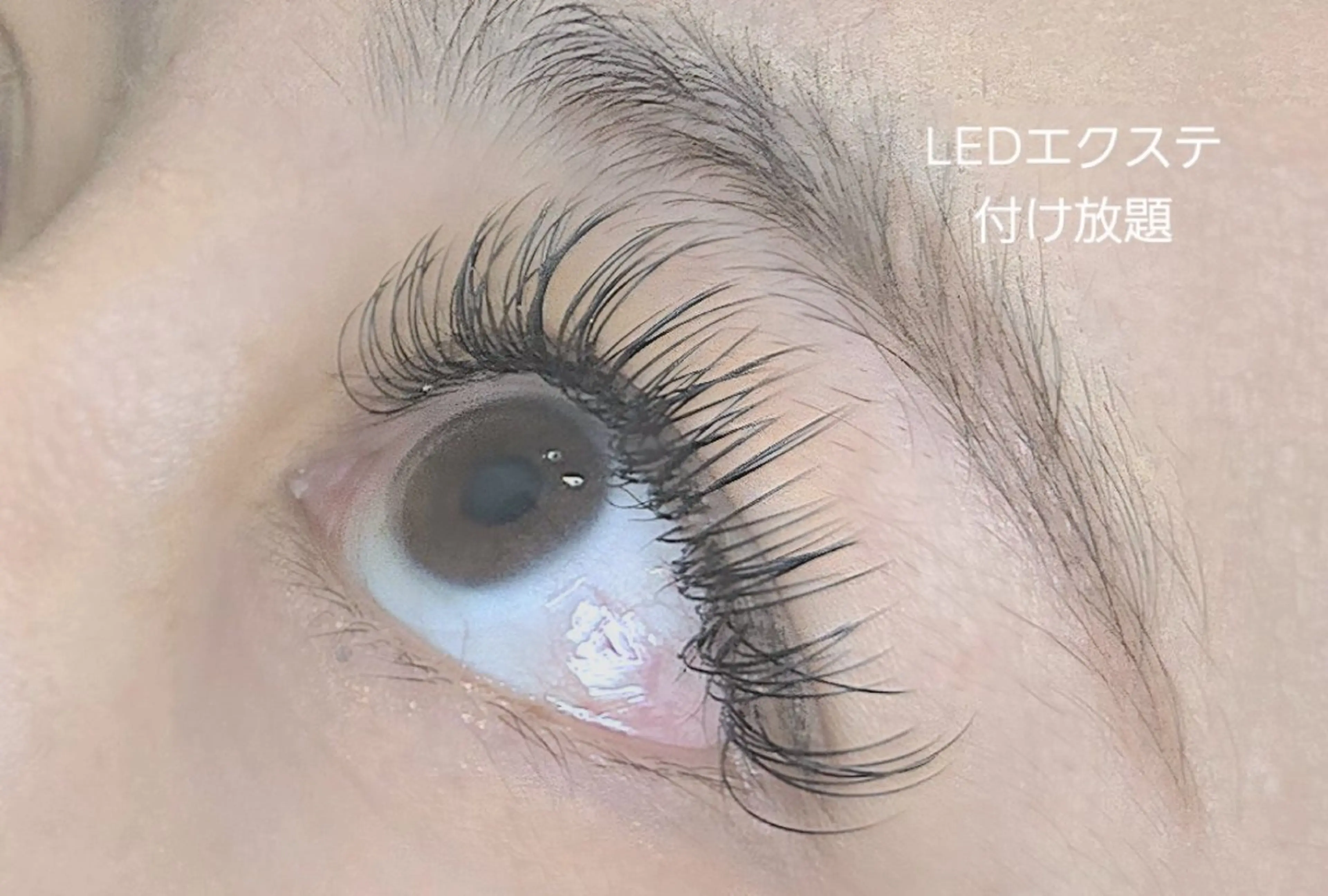 マツエク・マツパ 付け放題 Dカール Vine eyelashのマツエク・マツパデザイン