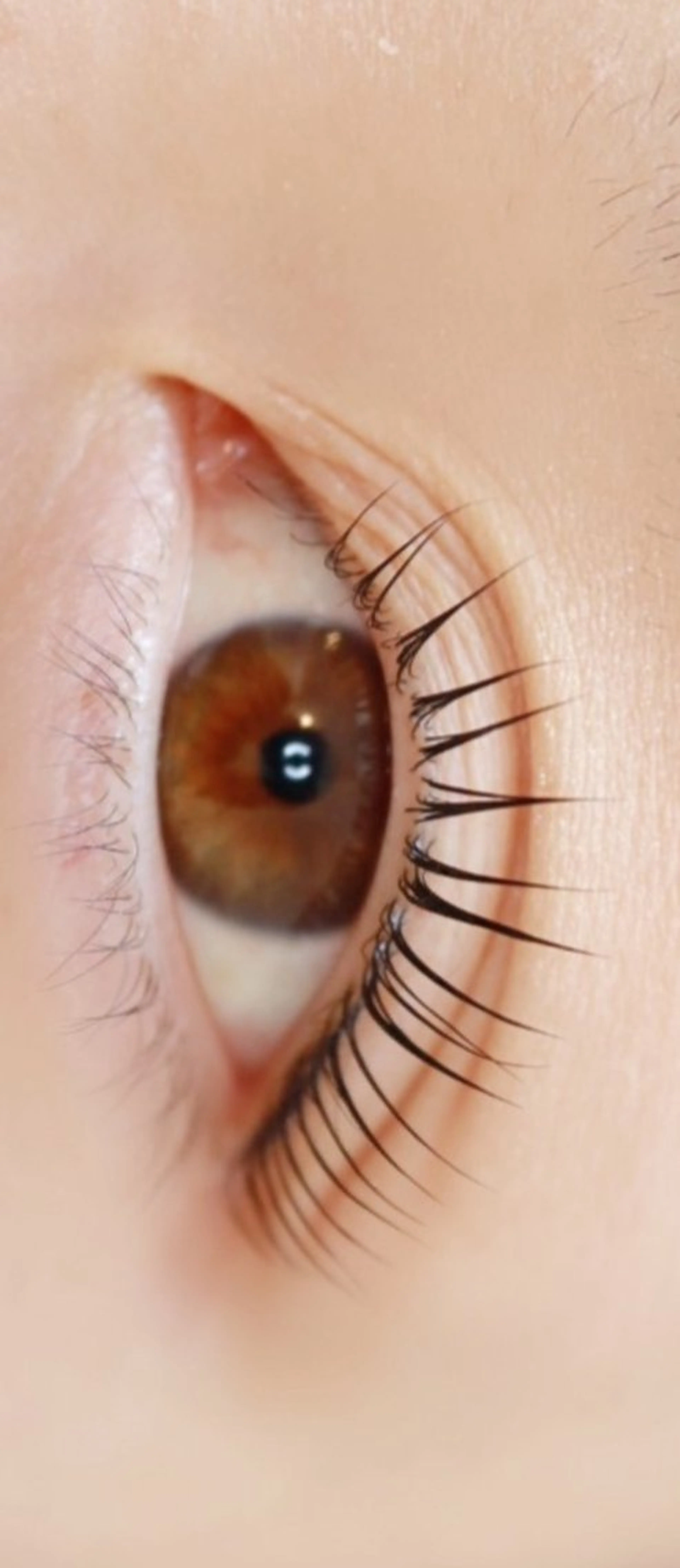 マツエク・マツパ 木村 亜衣の眉毛・アイブロウイメージ