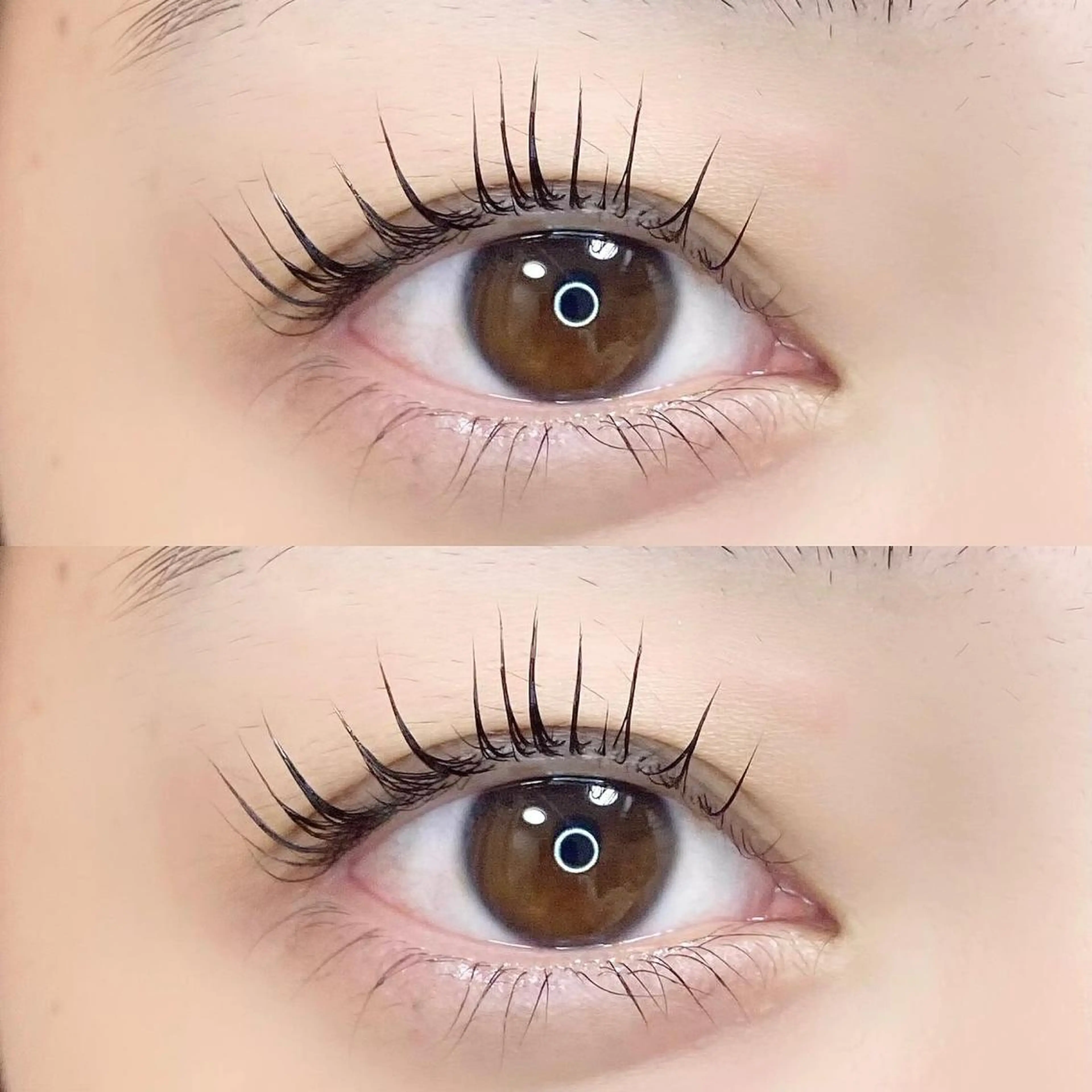 マツエク・マツパ フラットラッシュ パリジェンヌラッシュリフト まつげパーマ ボリュームラッシュ KURUMI🦋 まつエクまつパ美眉のマツエク・マツパデザイン