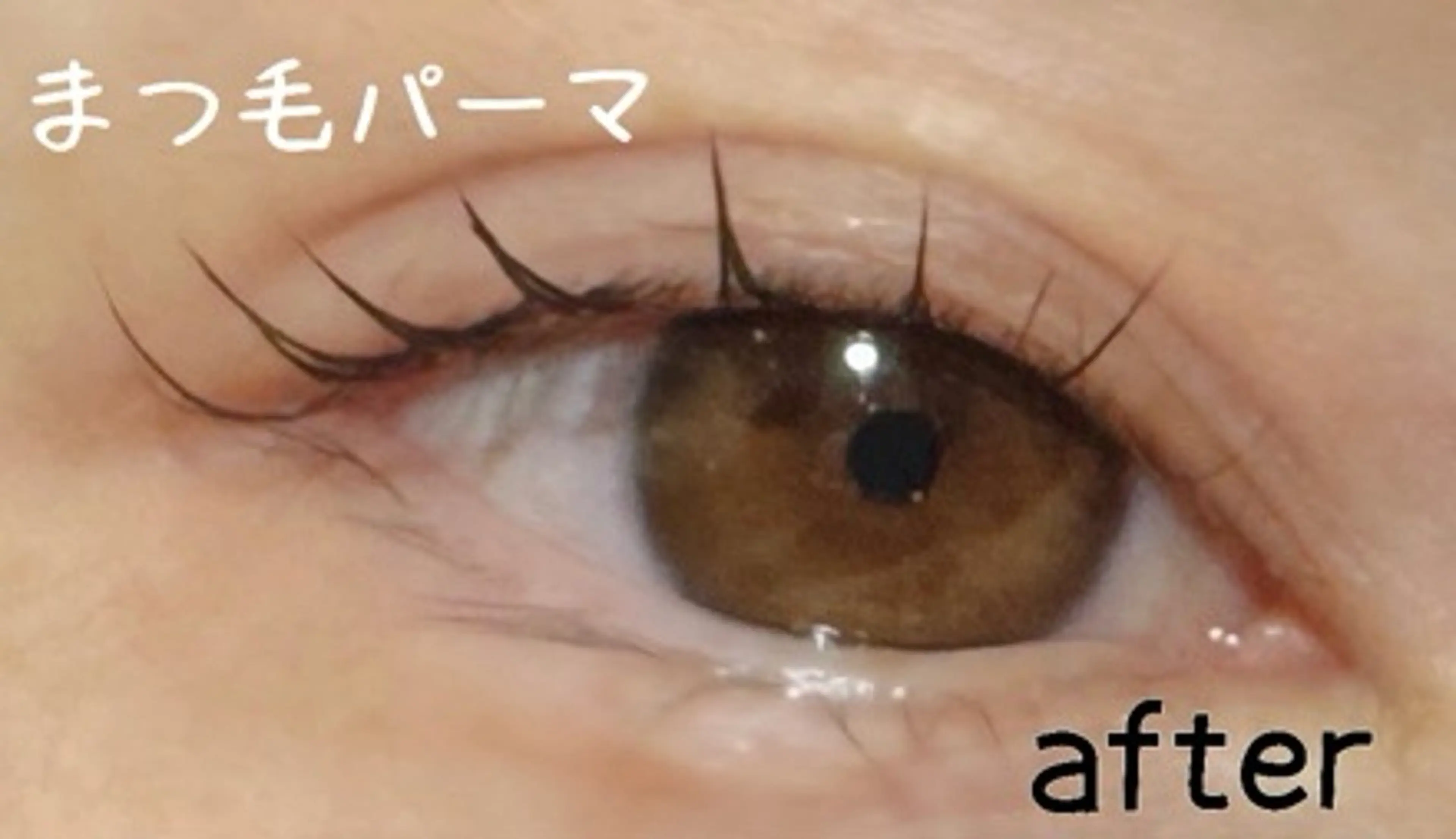 マツエク・マツパ Earth入間市店所属・Earth入間店 一杉のマツエク・マツパデザイン