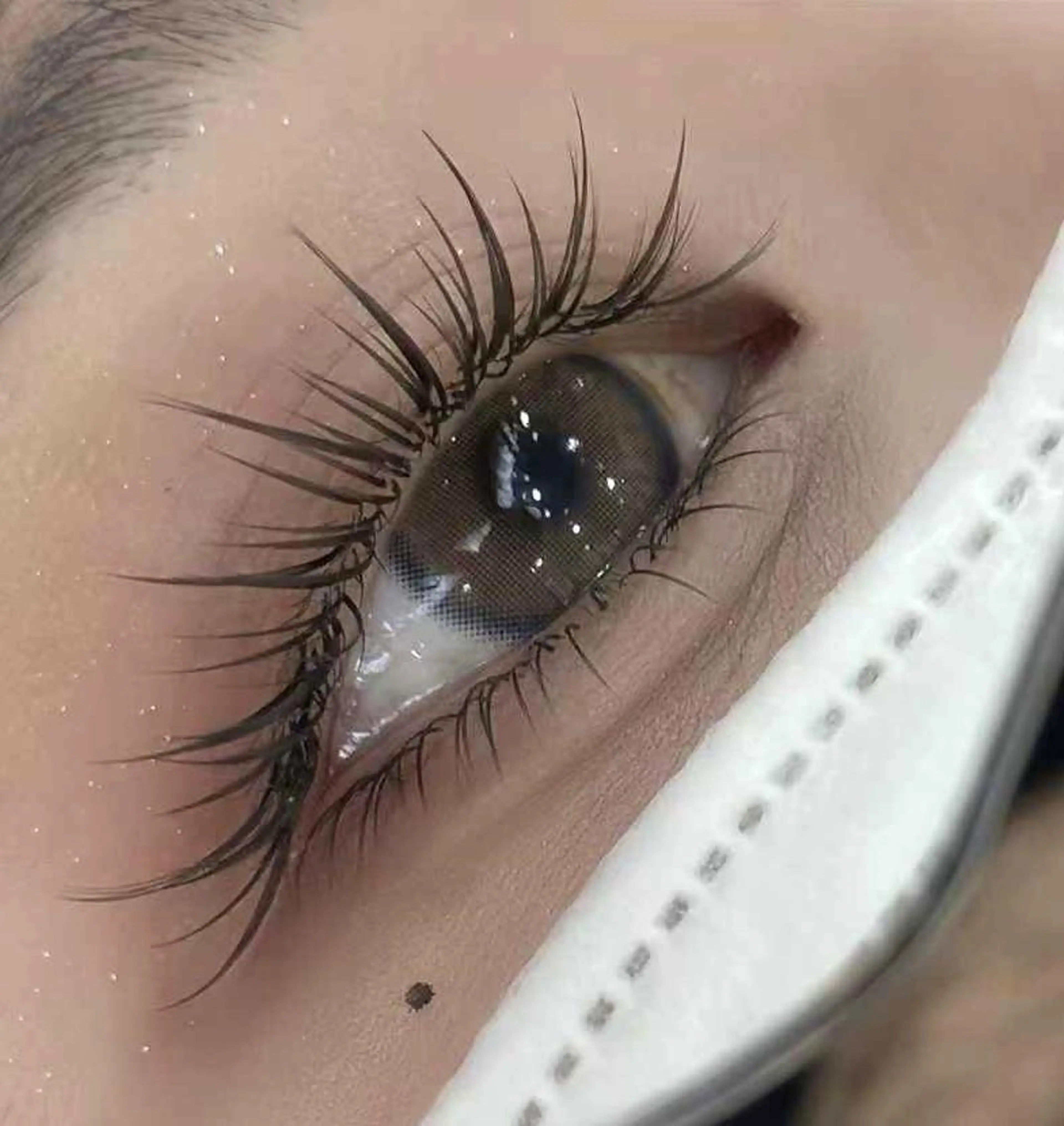 マツエク・マツパ 付け放題 バインドロック カラーマツエク フラットラッシュ 韓国風マツエク AB マツエクネイルサロンのマツエク・マツパデザイン