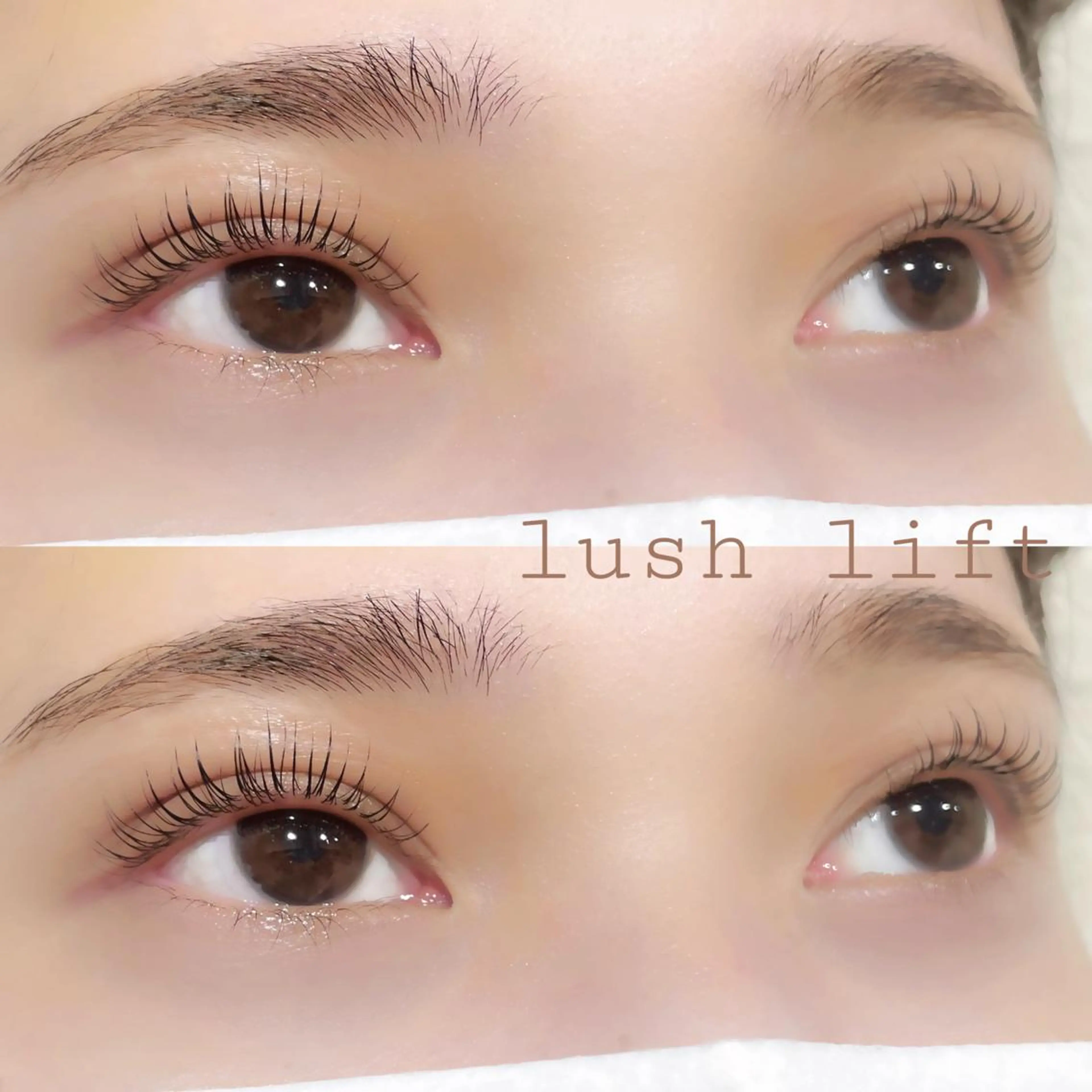 夕方限定🌇アイシャンプー付きケラチンラッシュリフト💛まつ毛ダニや汚れを落としてまつ毛の成長を促すトリートメント付き！の写真