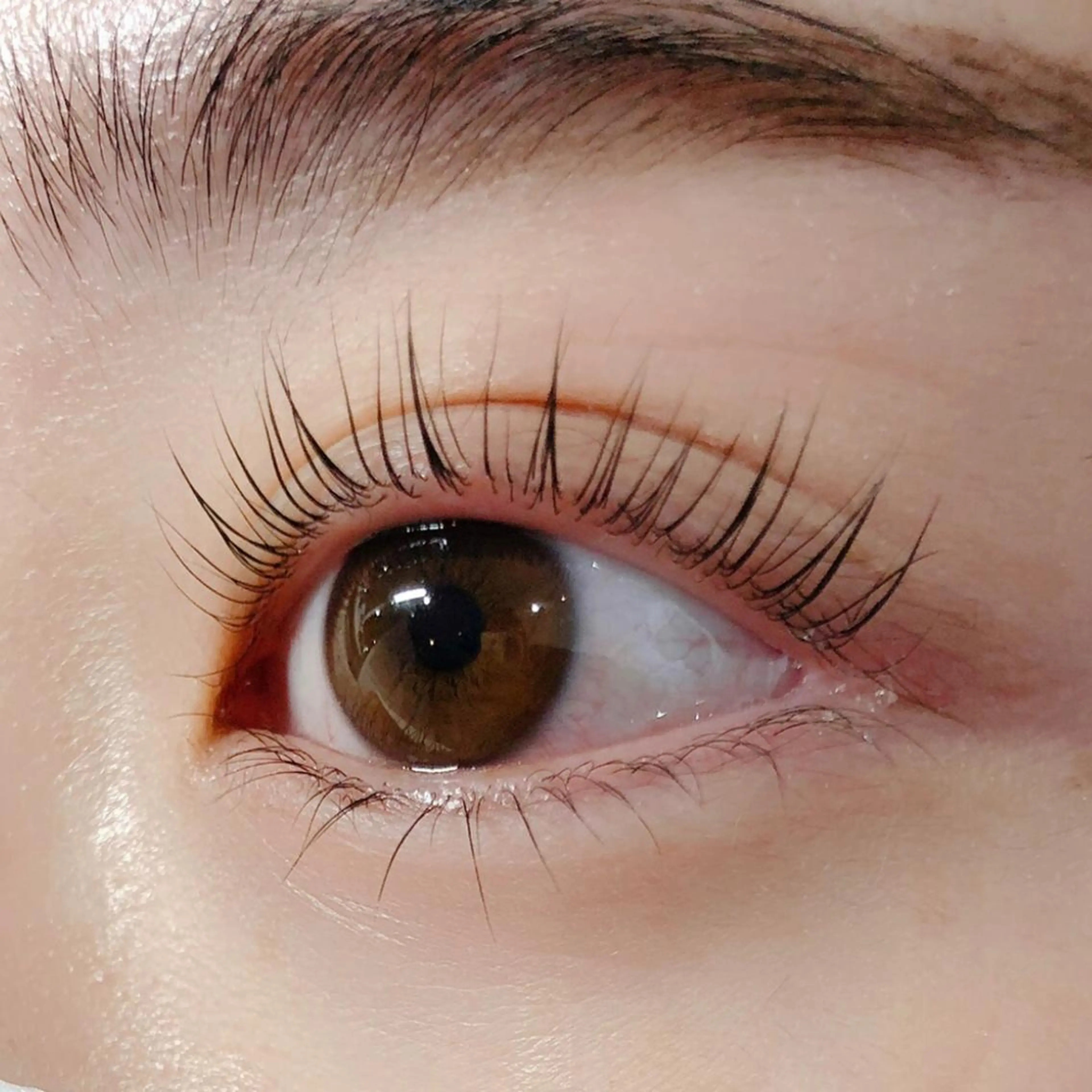 マツエク・マツパ BEIGE金山🍑 MOMOの眉毛・アイブロウイメージ