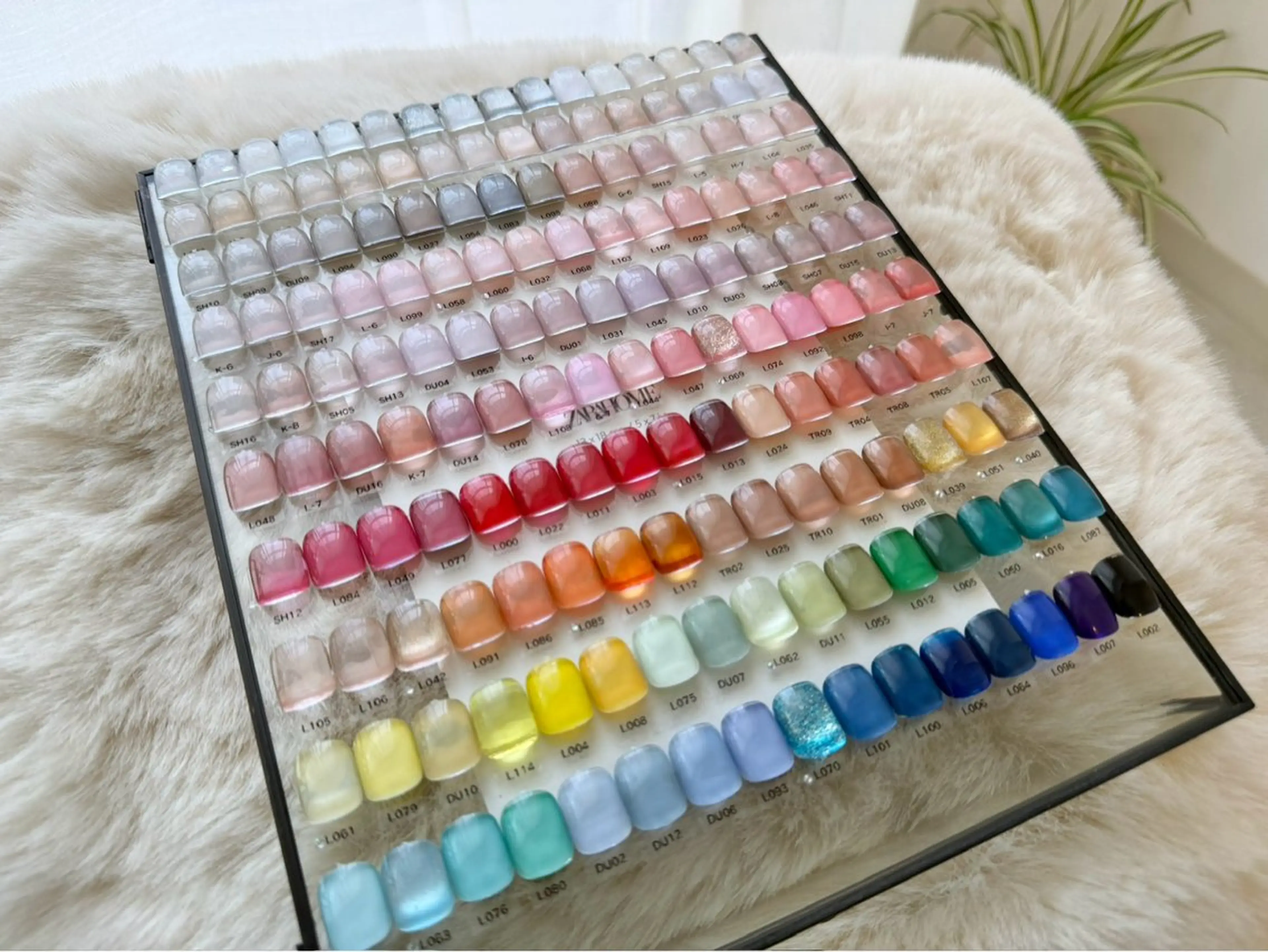 (オフあり) ワンカラー 120分の写真