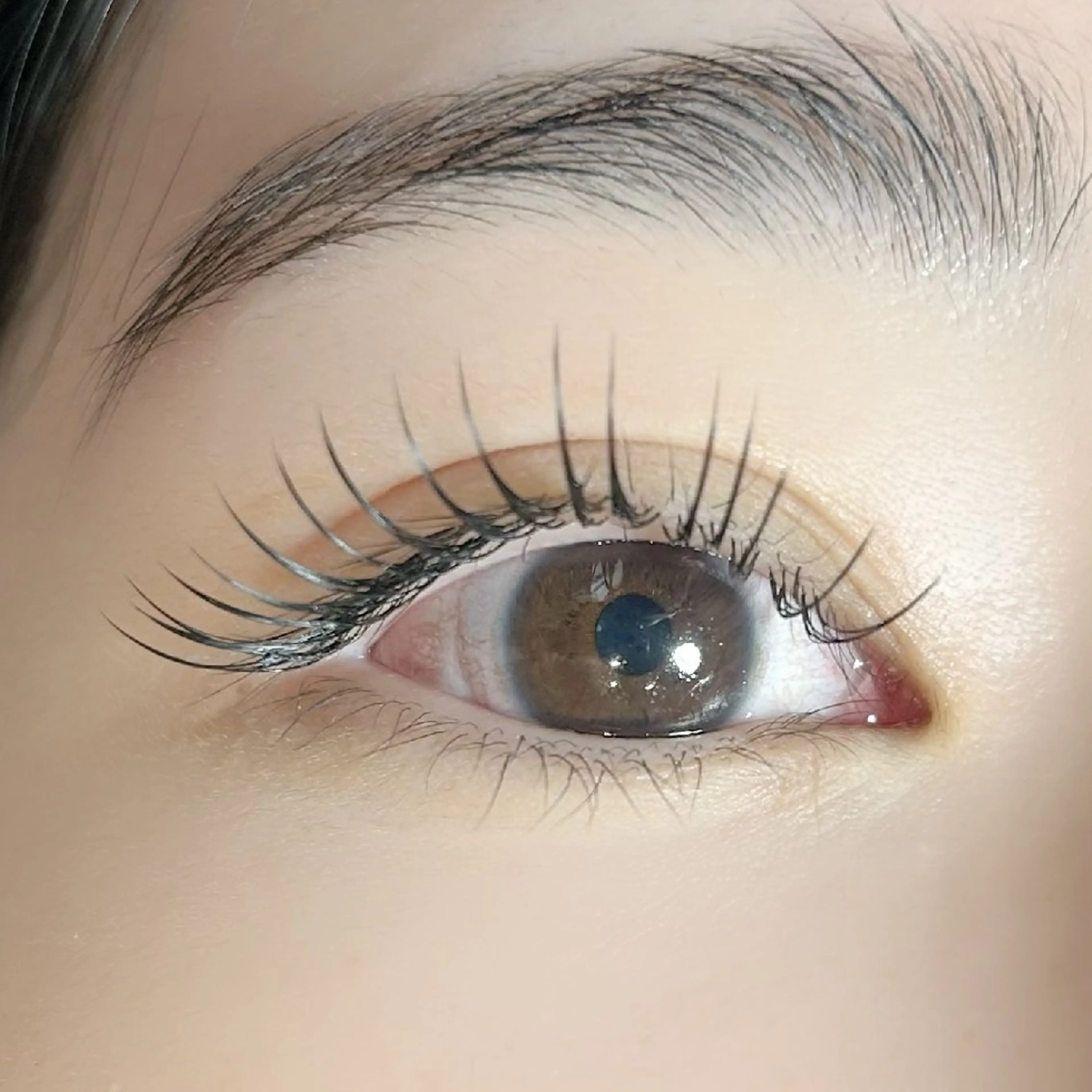 🔰1月限定🔰【フラットラッシュ100本】の写真