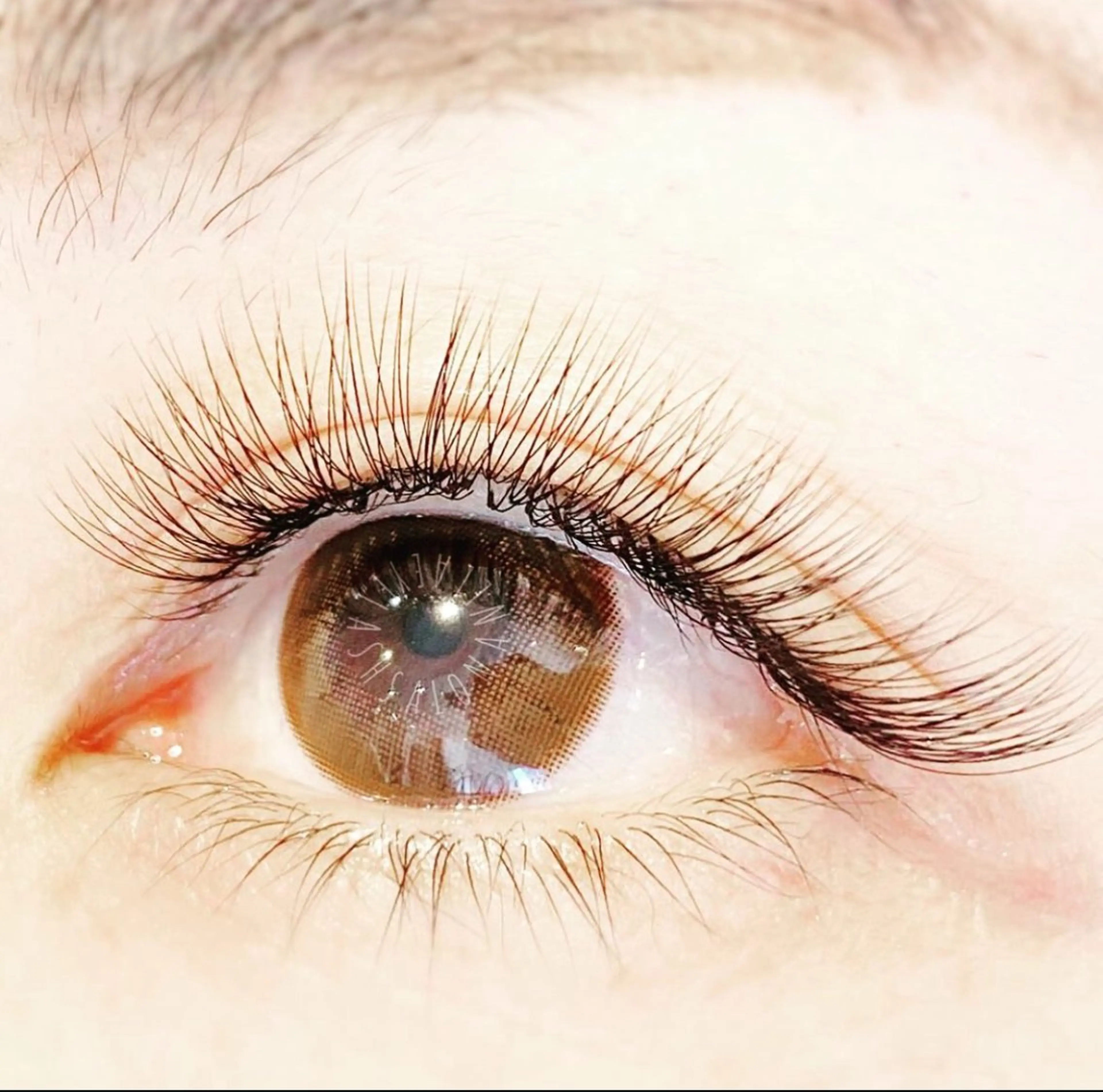 マツエク・マツパ マツエク Anela 🦋HARUMIの眉毛・アイブロウイメージ