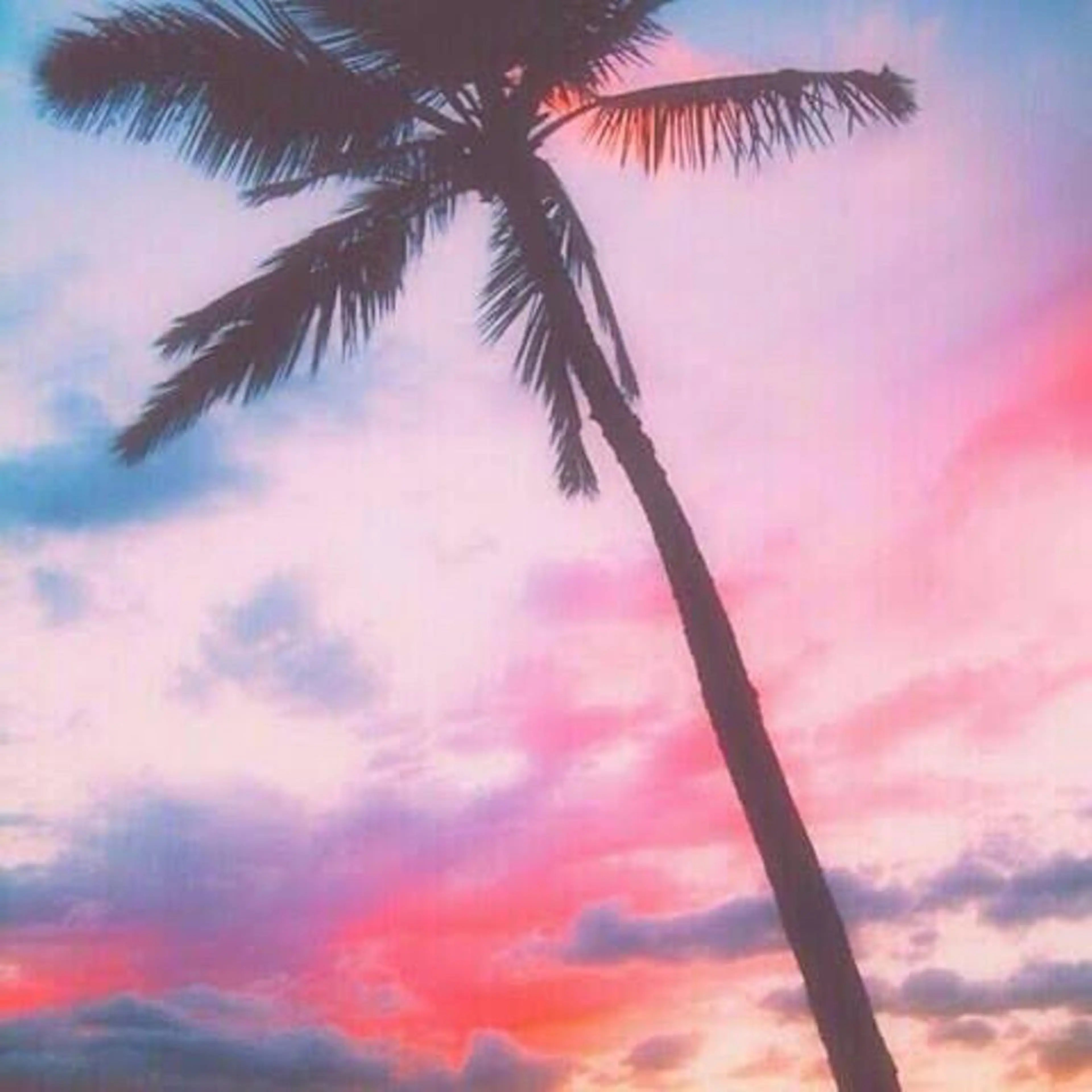 【平日限定価格】上下ラッシュリフト SET❤️の写真