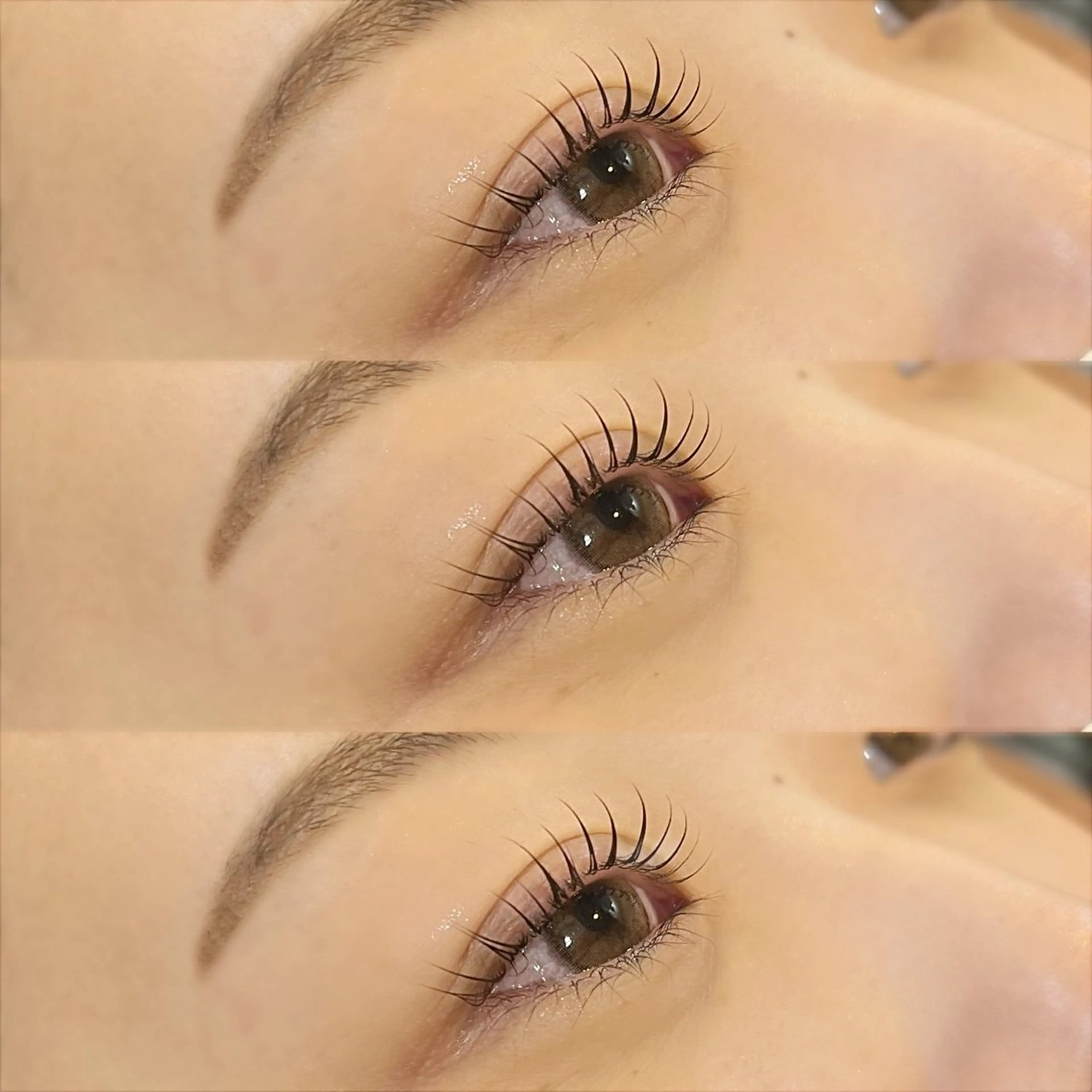 ご新規様限定🤍🫧まつげパーマラッシュリフト　当日予約○美容液コーティング付き🎀🤍の写真
