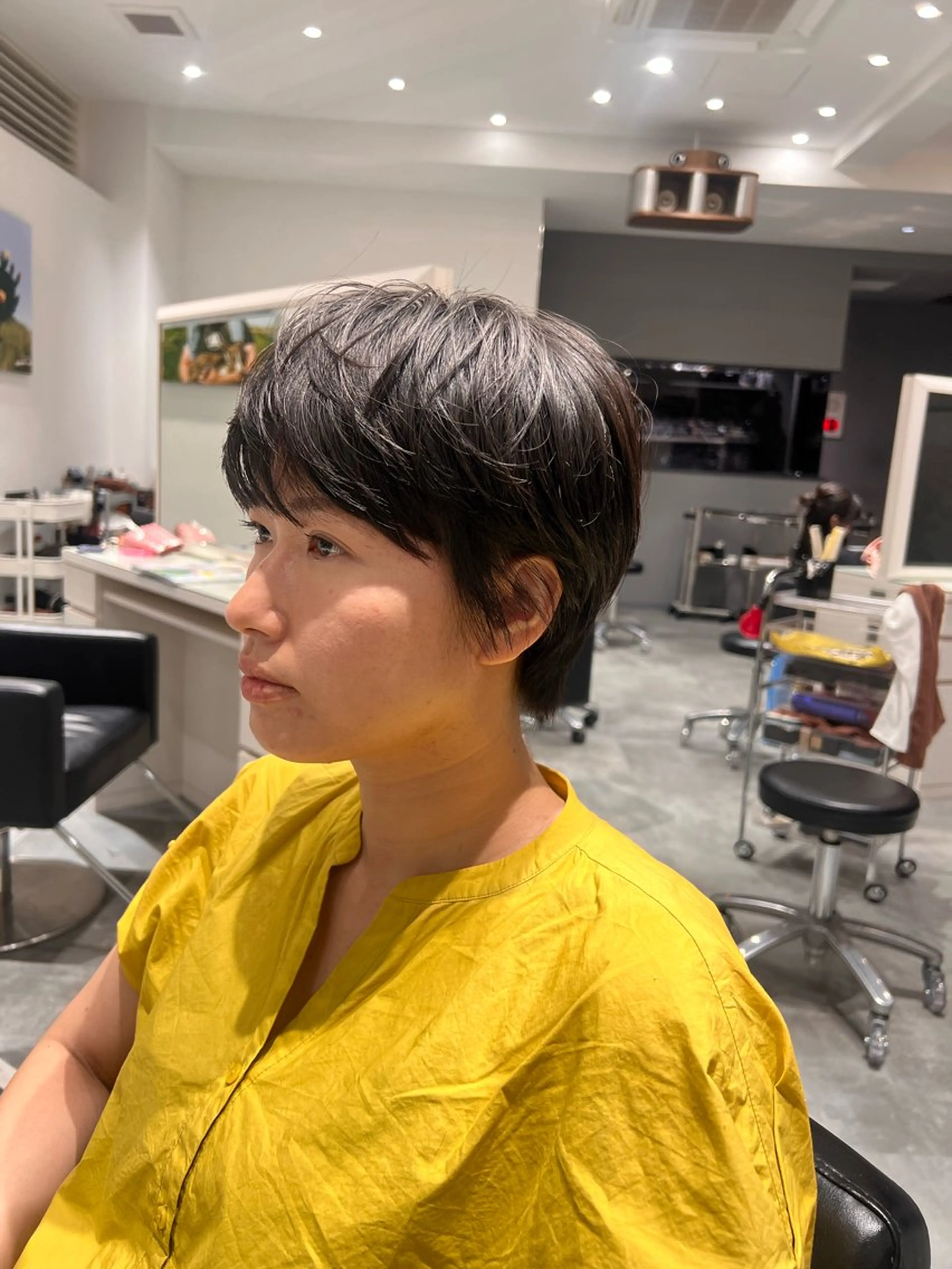 ショート レイヤーカット ショートヘア BEAUTRIUM  銀座店所属・カット無料🎶 たるみことりのヘアスタイル