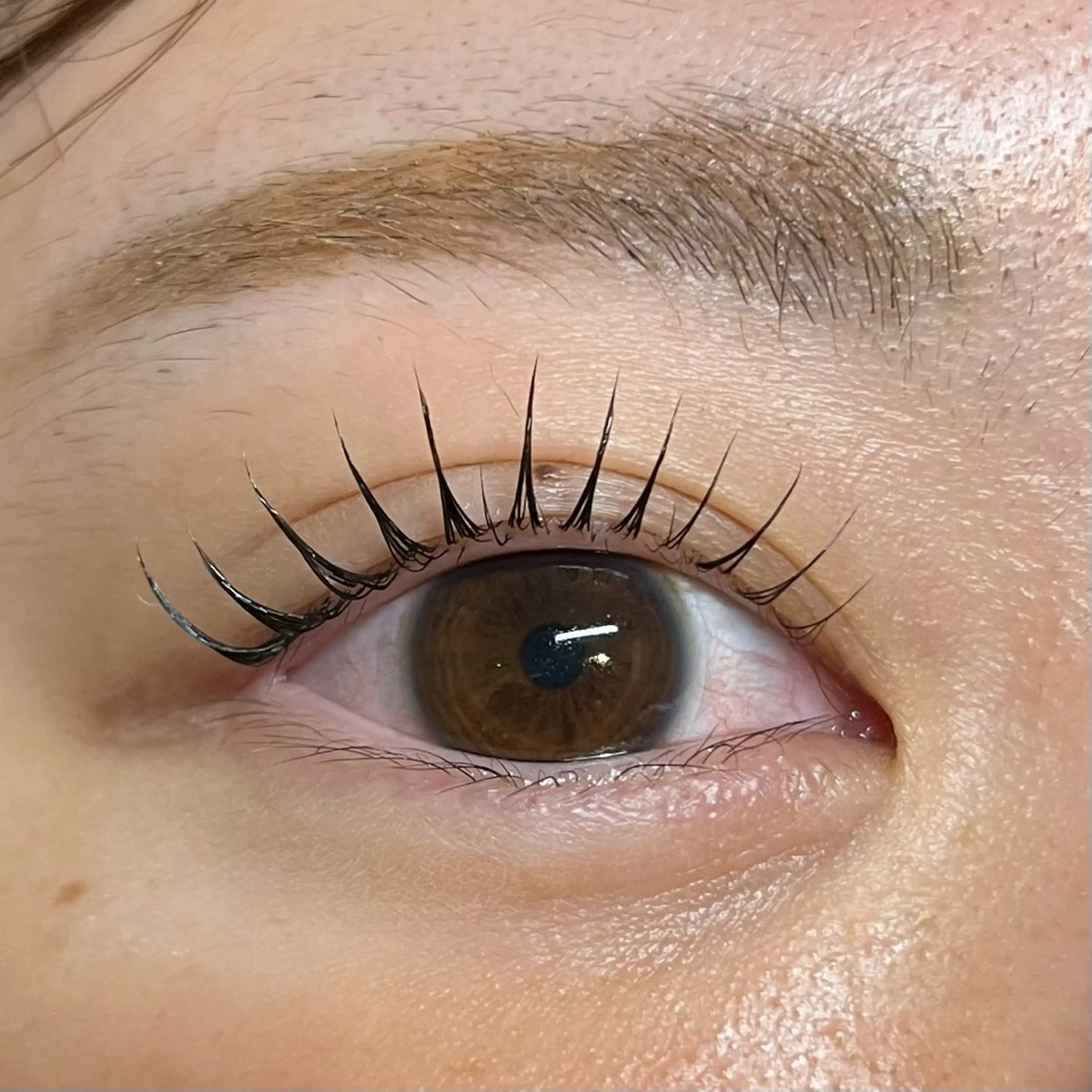 2回目❤︎上まつげパーマ【パリジェンヌorラッシュリフト】の写真