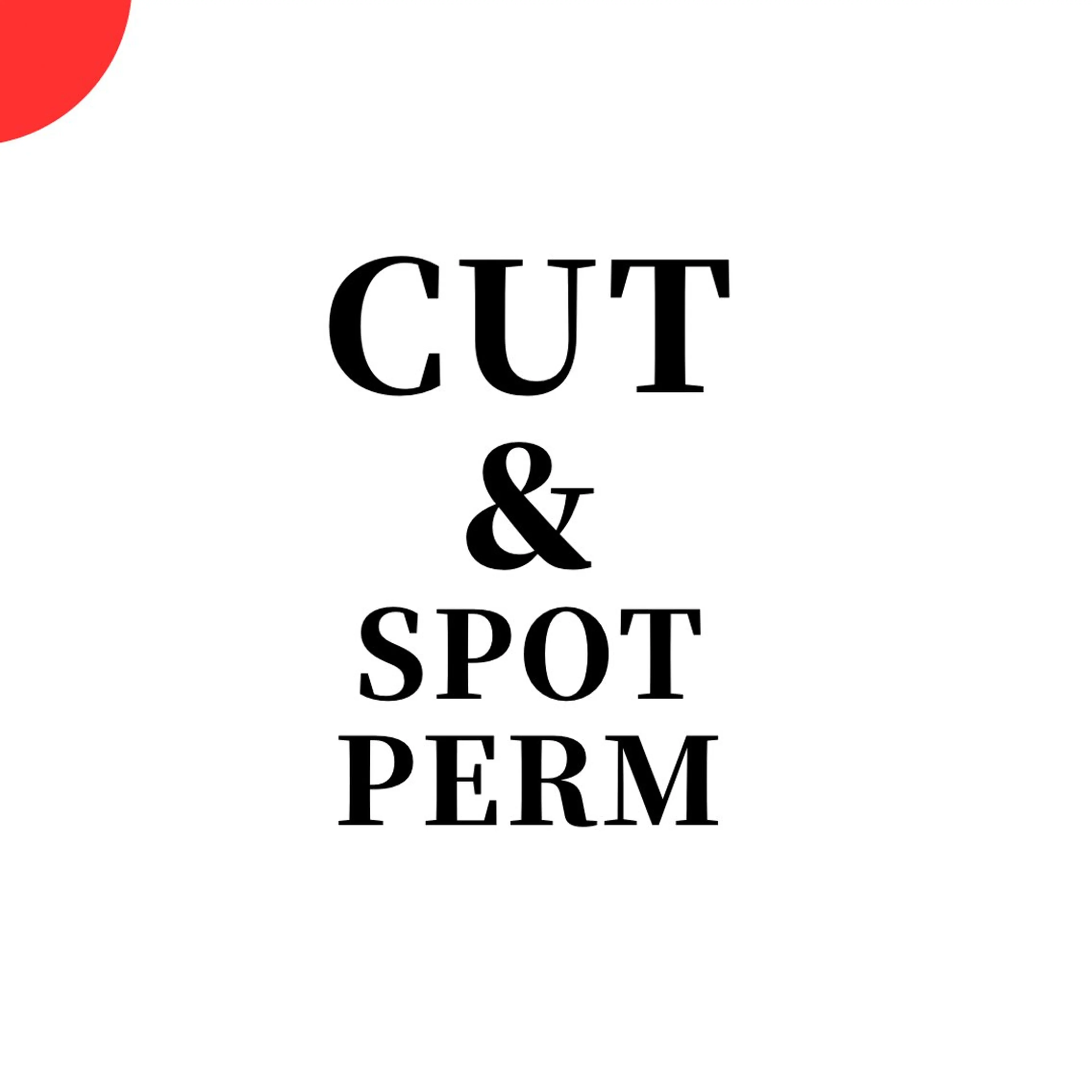 メンズ カット パーマ 表参道フェザーパーマ ニュアンスパーマのヘアスタイル