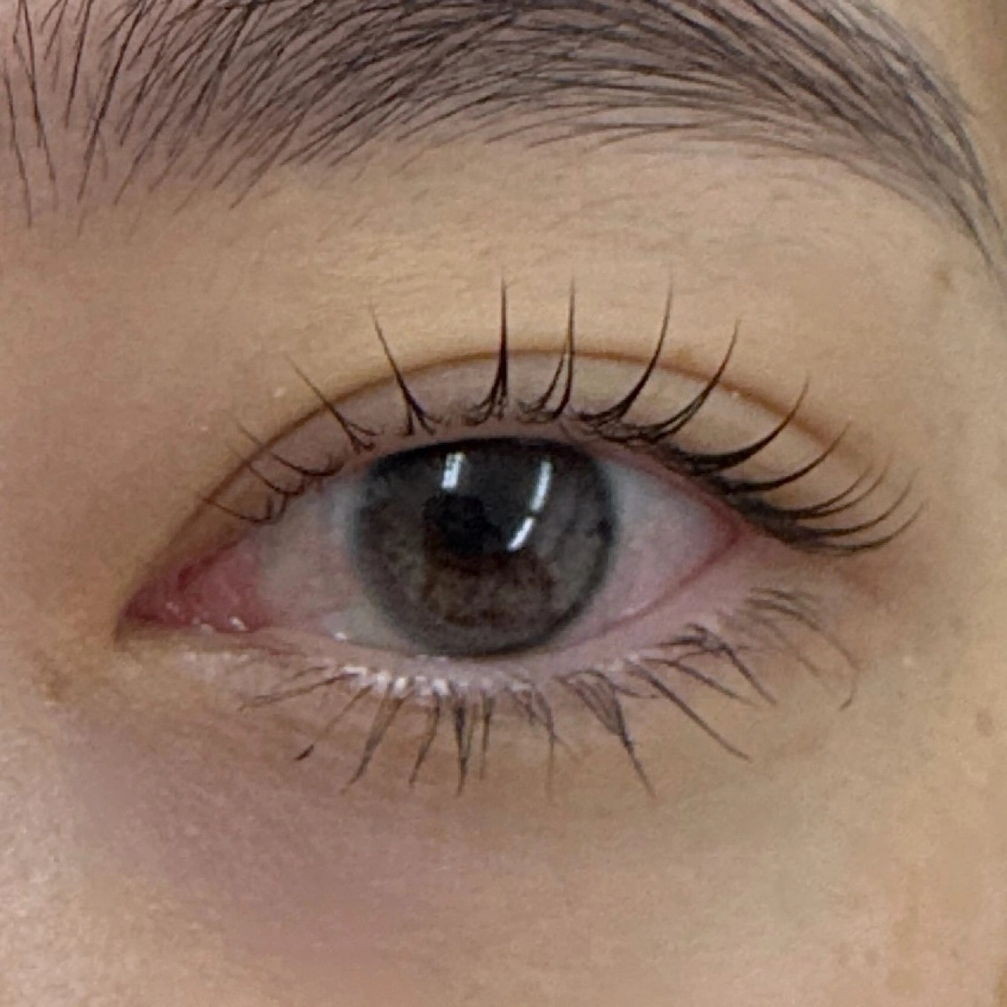 マツエク・マツパ マツパ 表参道駅徒歩2分🫧 まつげパーマ/Emiのマツエク・マツパデザイン