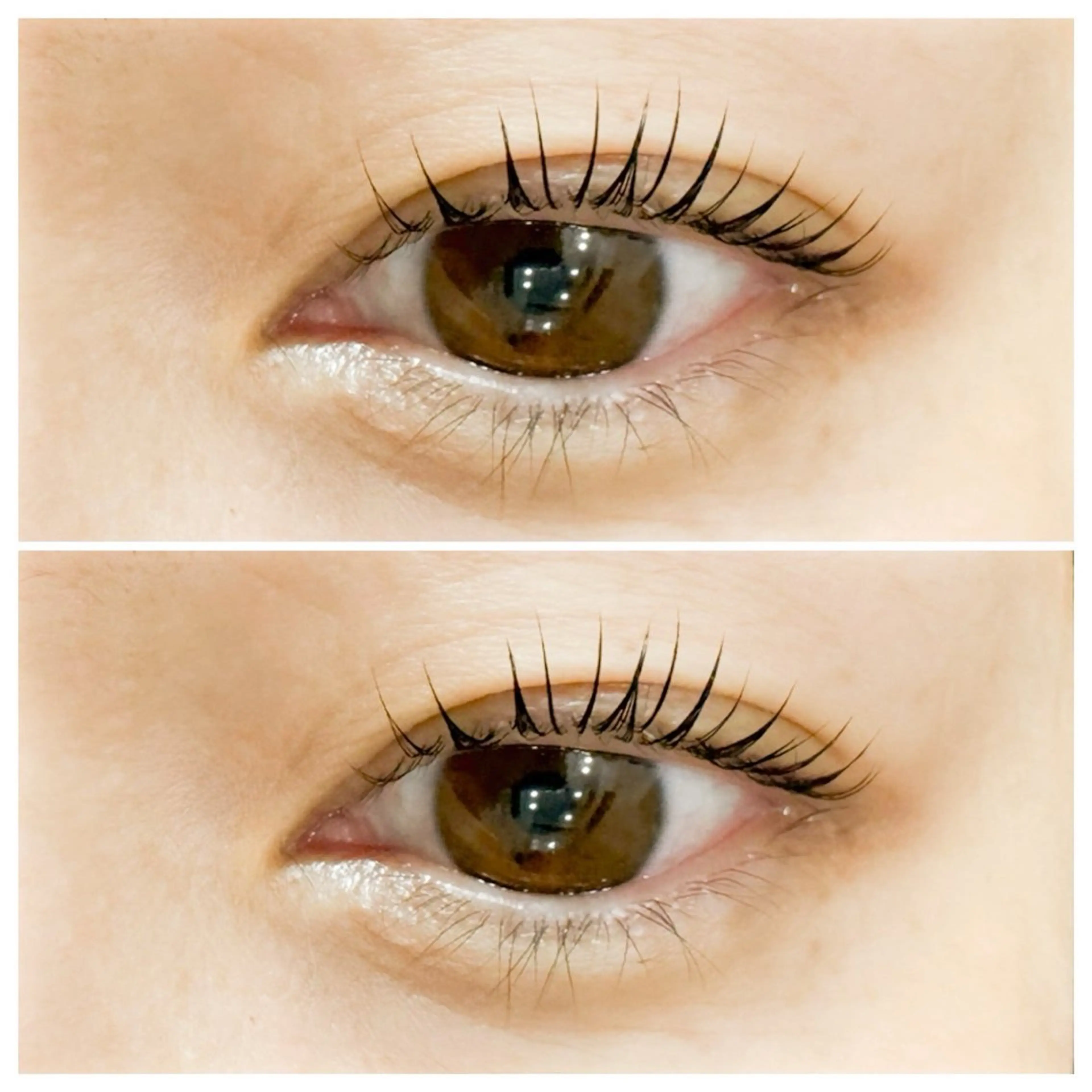 ラッシュリフト＋ブロウリフト🎀¥12,100→¥7,480の写真