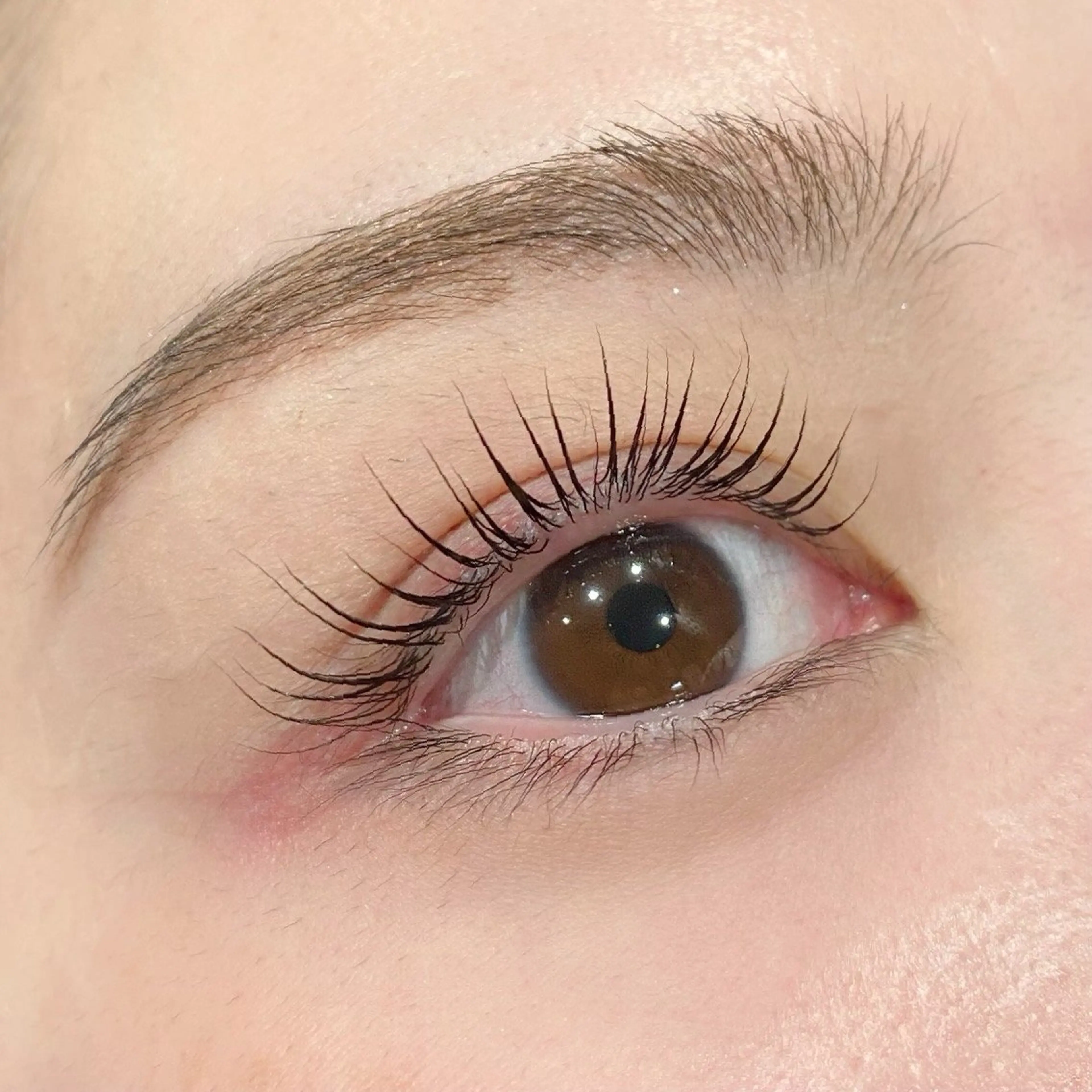 まつ毛パーマ《コーティング付き🙌💕》          【🐈‍⬛次回予約で3回まで利用可🙌】の写真