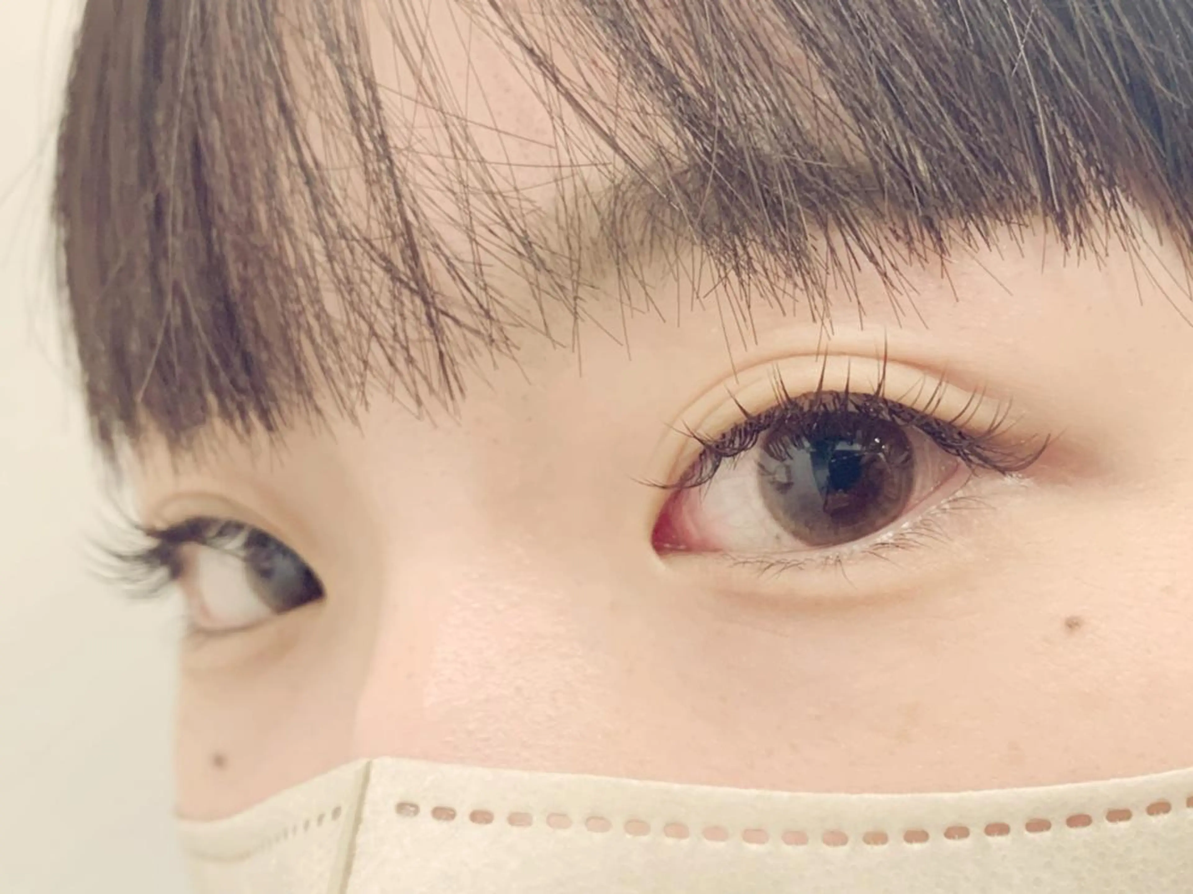 マツエク・マツパ 束感まつ毛 Cカール カラーマツエク ナチュラル ワンホンマツエク マツエク Nordlys Room所属・やまにたゆか🌿 Nordlysのマツエク・マツパデザイン