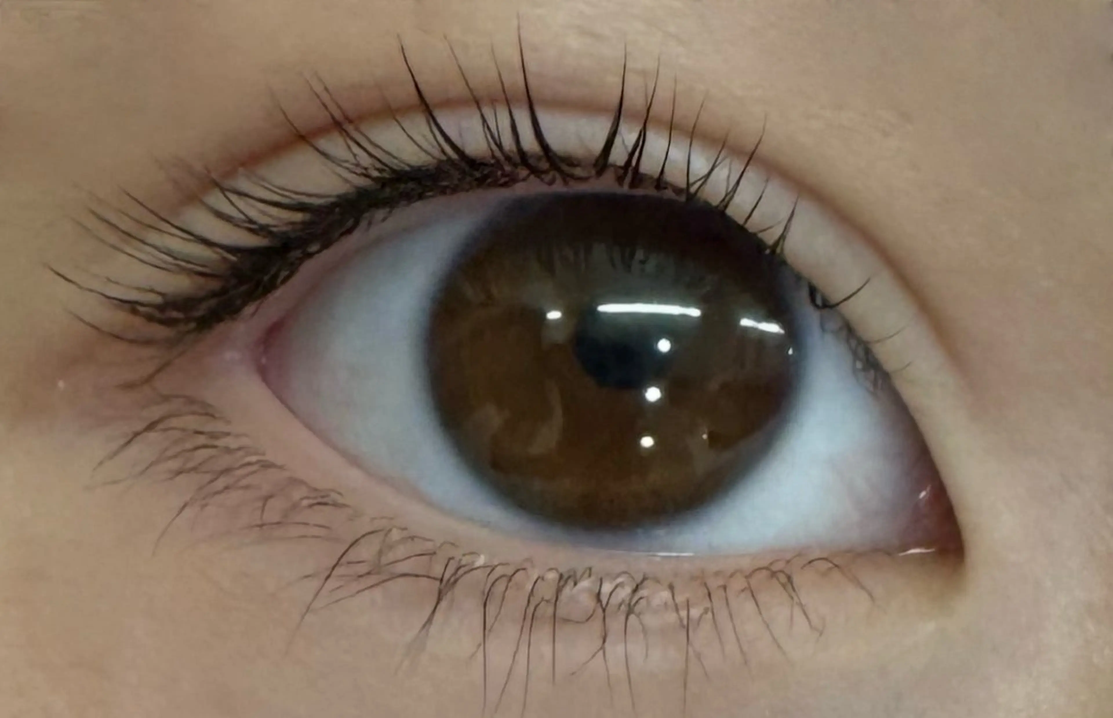 マツエク・マツパ 一重×まつ毛パーマ KANGOL BEAUTY SALON Eyelash アルカキット錦糸町店所属・板谷 弥生のマツエク・マツパデザイン