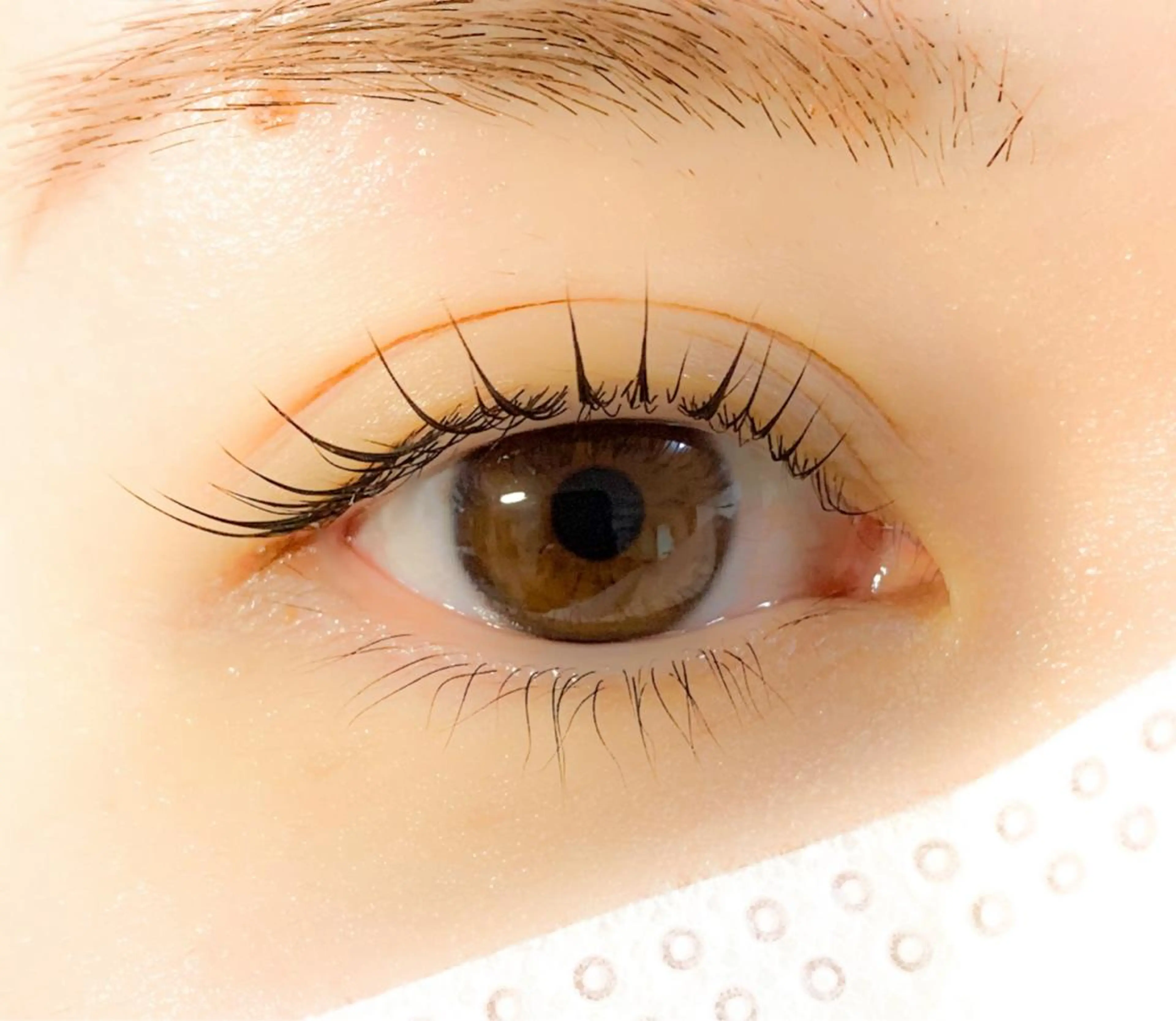 マツエク・マツパ サルサグレイス千葉店 塩井のマツエク・マツパデザイン