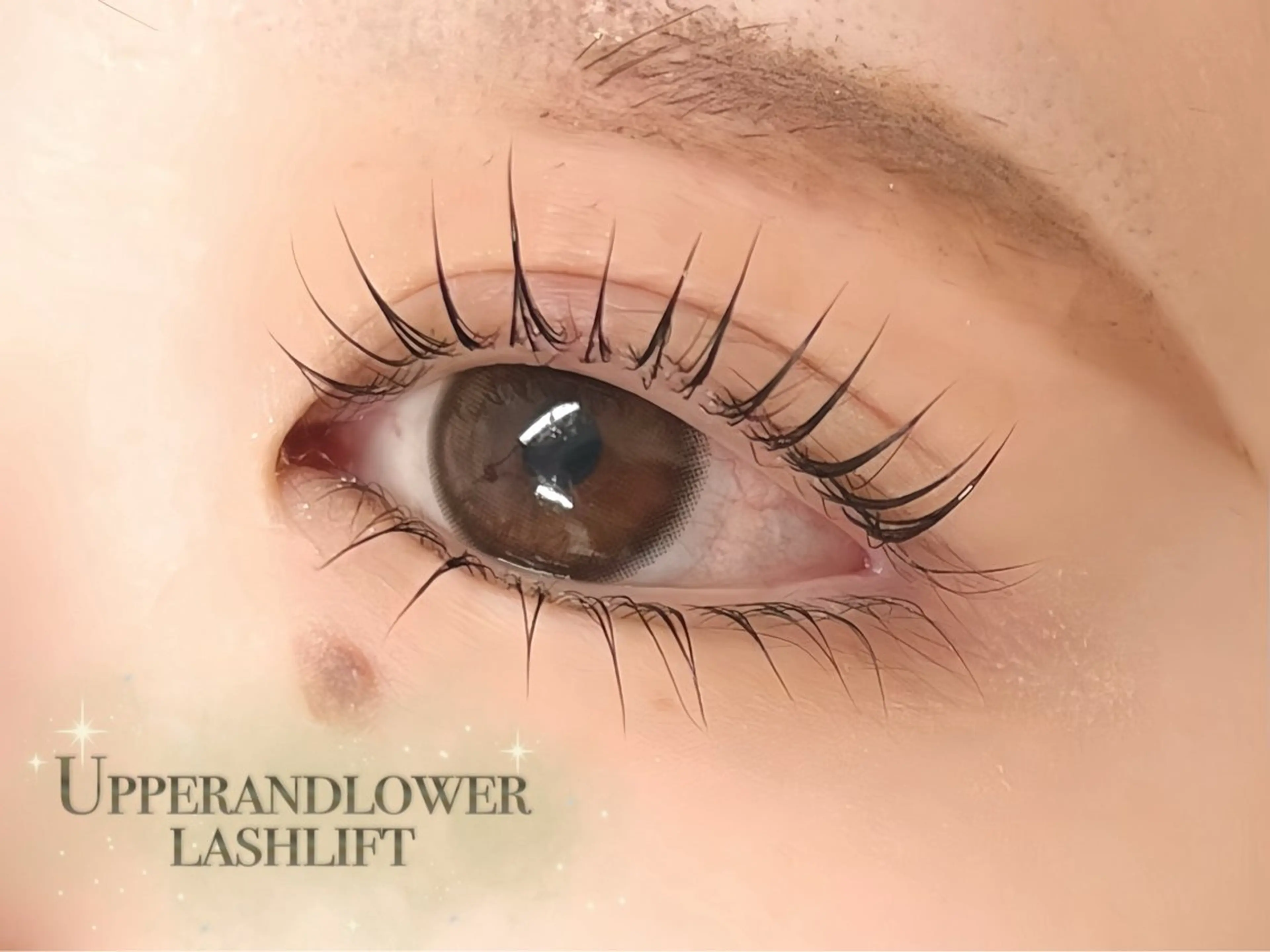 🛁上下韓国風まつげパーマ 3種ケア付き🛁の写真