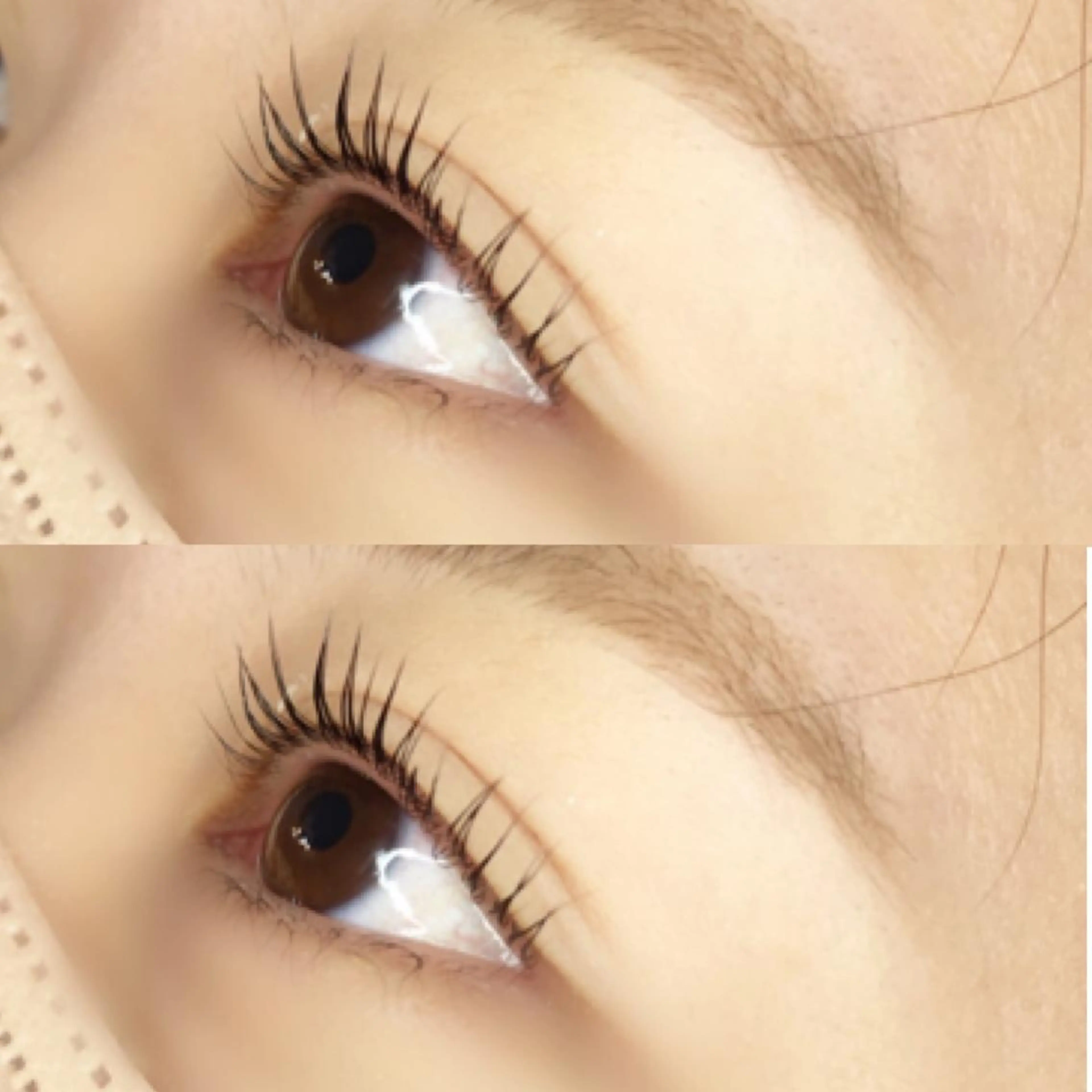 マツエク・マツパ 《eyelash ｉｉｔｅ》森のマツエク・マツパデザイン