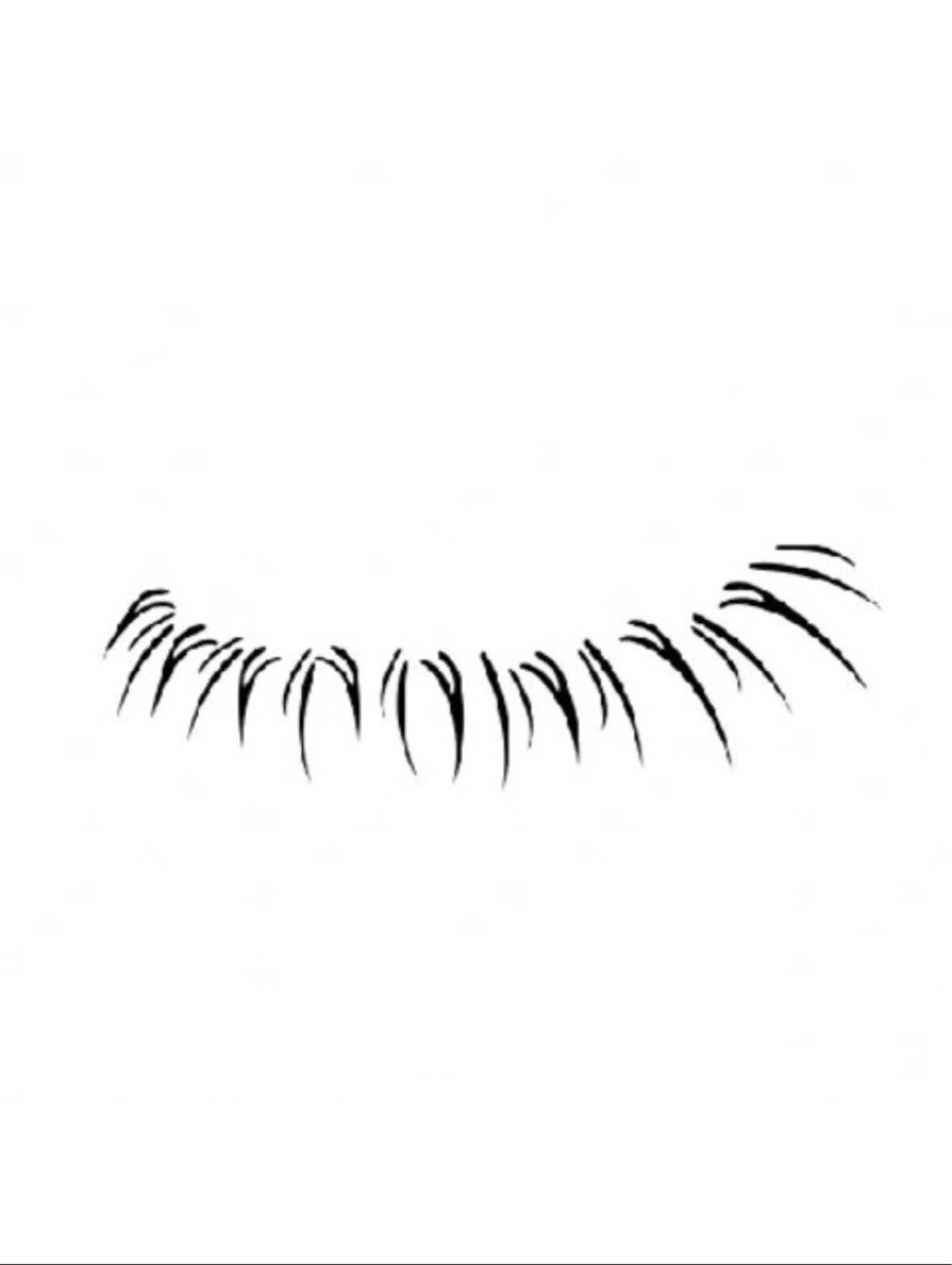 【下まつ毛】3Dボリュームラッシュ 60束まで★¥4000 （単品価格）（オフなし）【LED込み】の写真