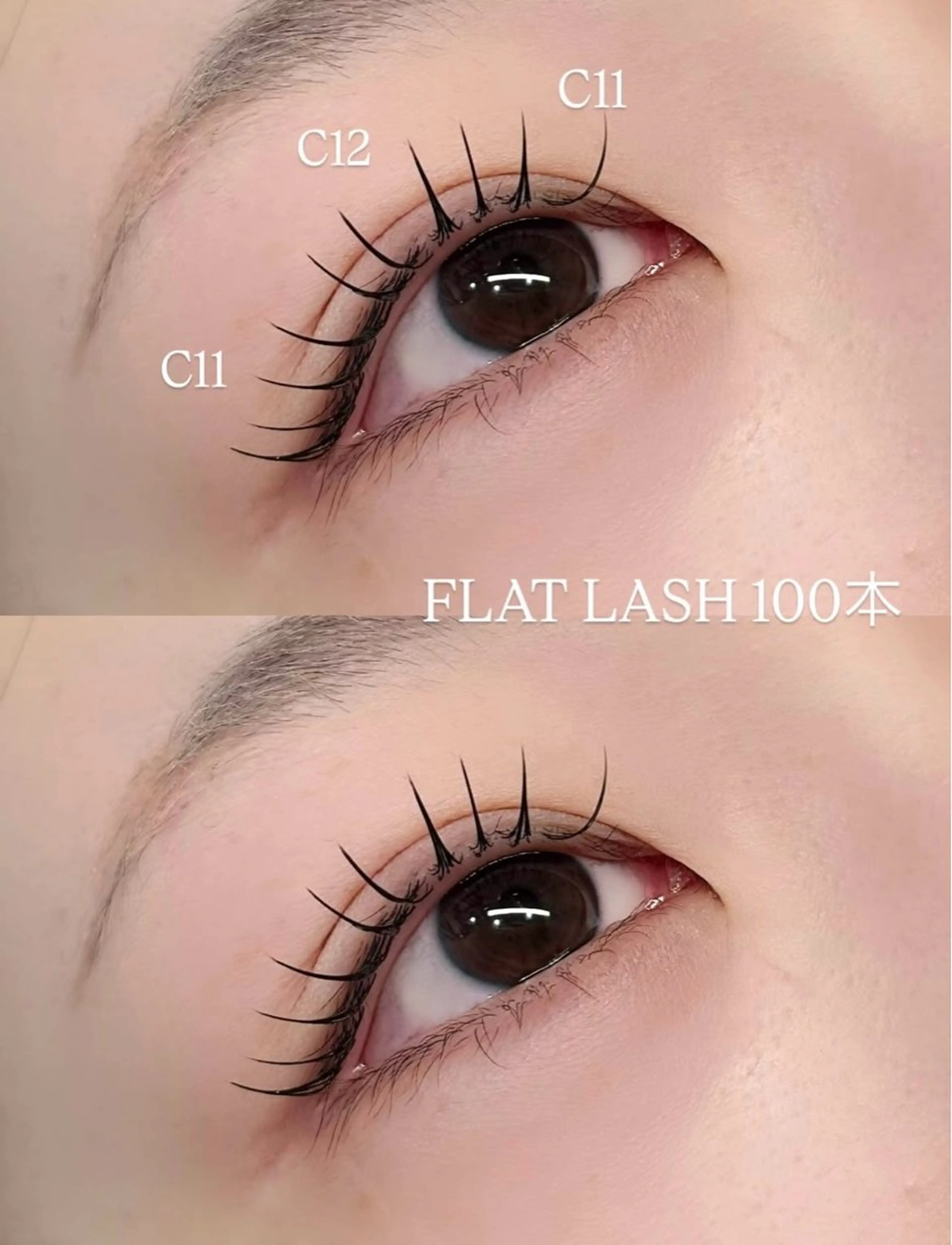 フラットラッシュ 80本 練習モデルの写真