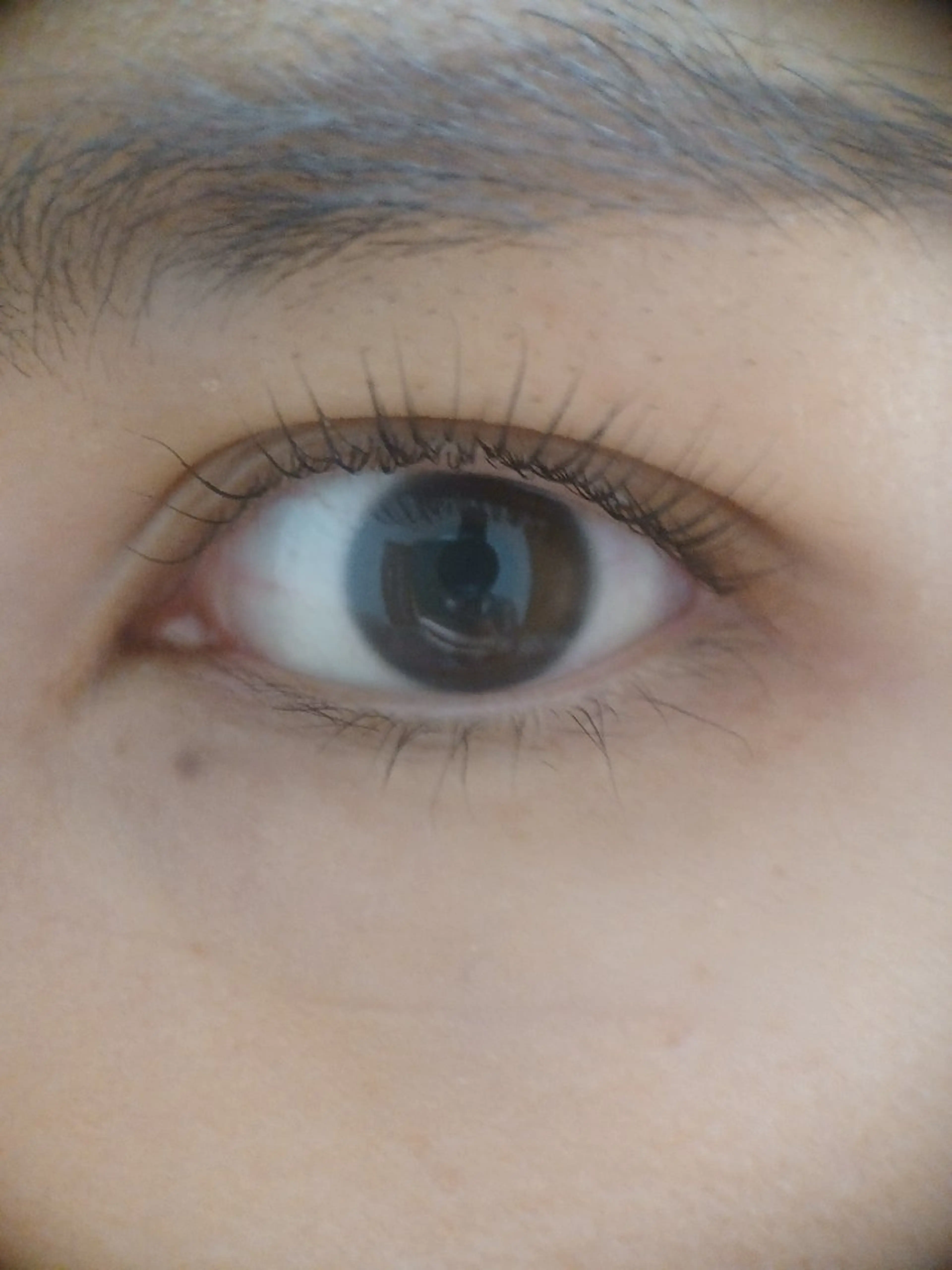 マツエク・マツパ Lカール 岡崎 良美のマツエク・マツパデザイン