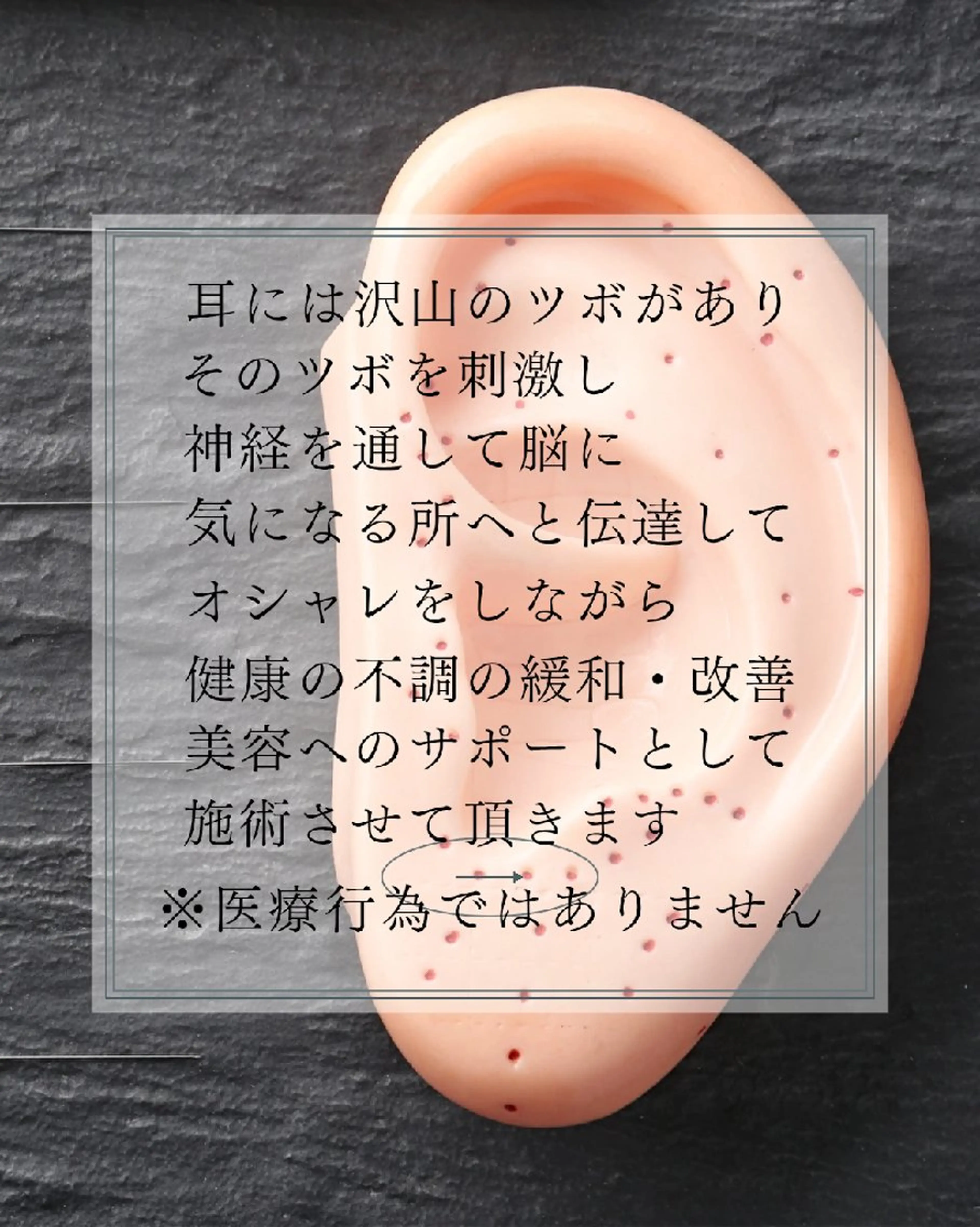 Noah'snail   のネイルデザイン