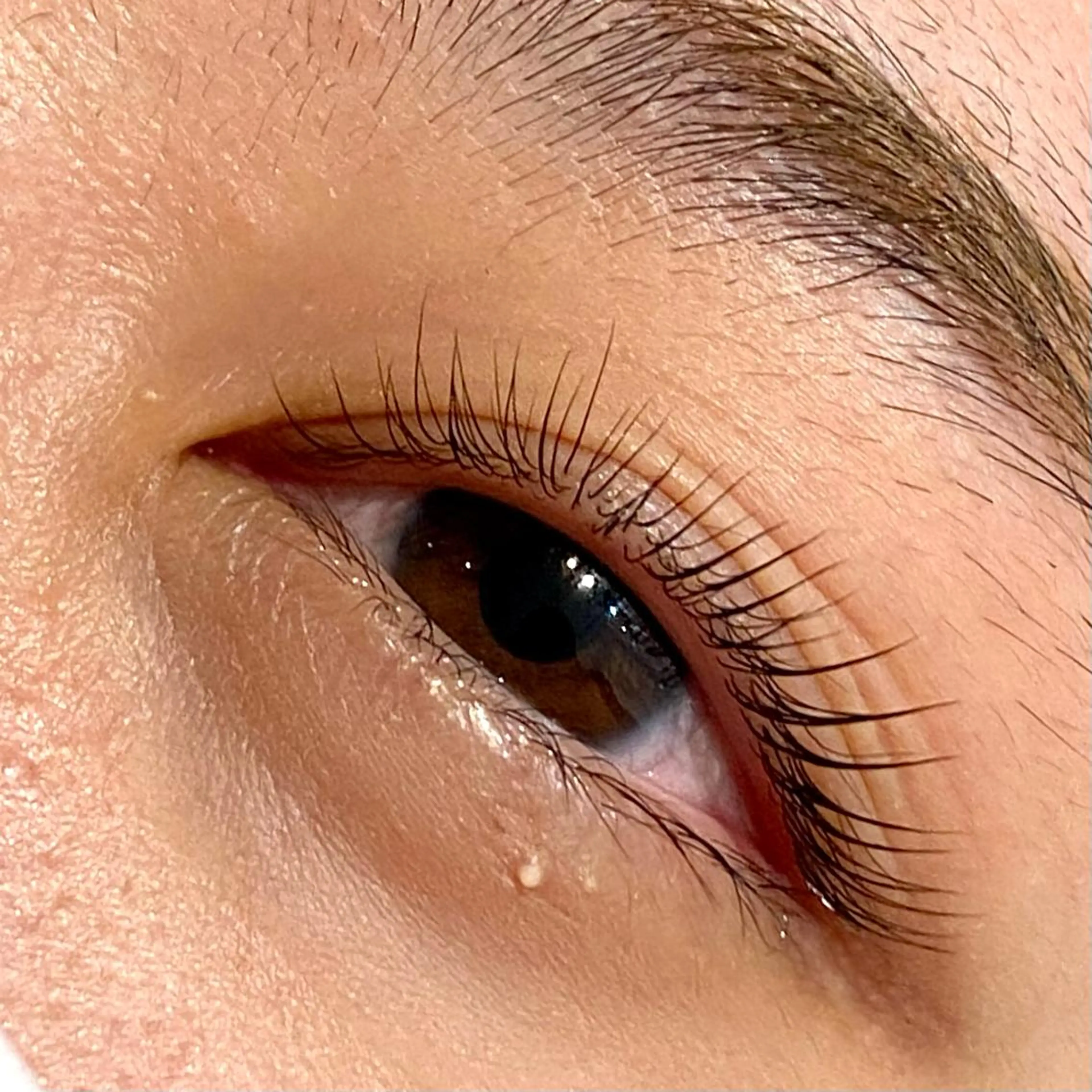 マツエク・マツパ chatran ishimochiのマツエク・マツパデザイン