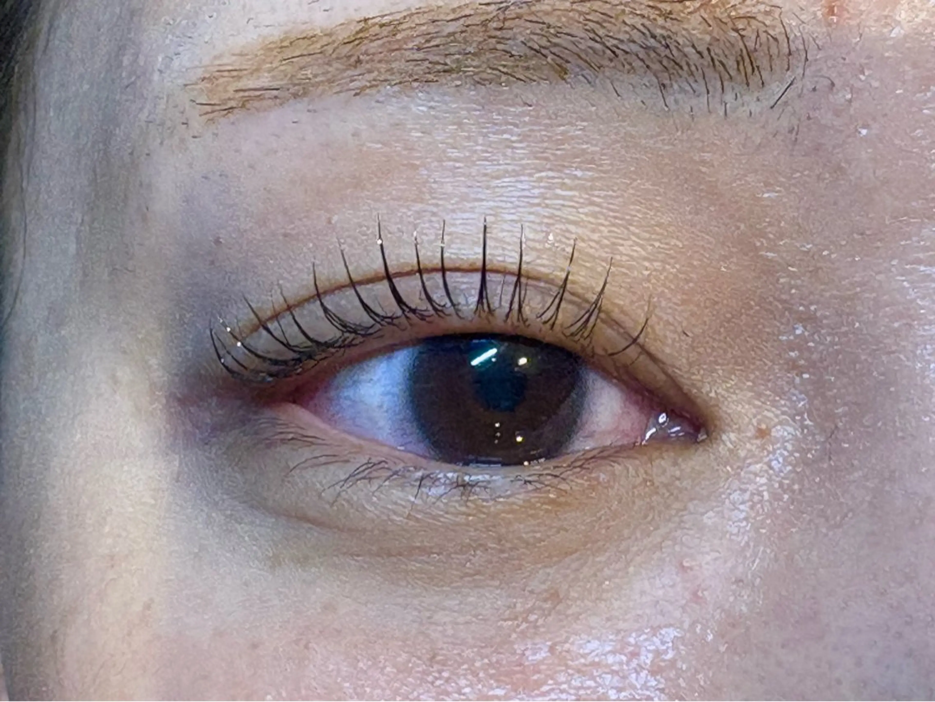 マツエク・マツパ パリジェンヌラッシュリフト CHURA yurikaのマツエク・マツパデザイン